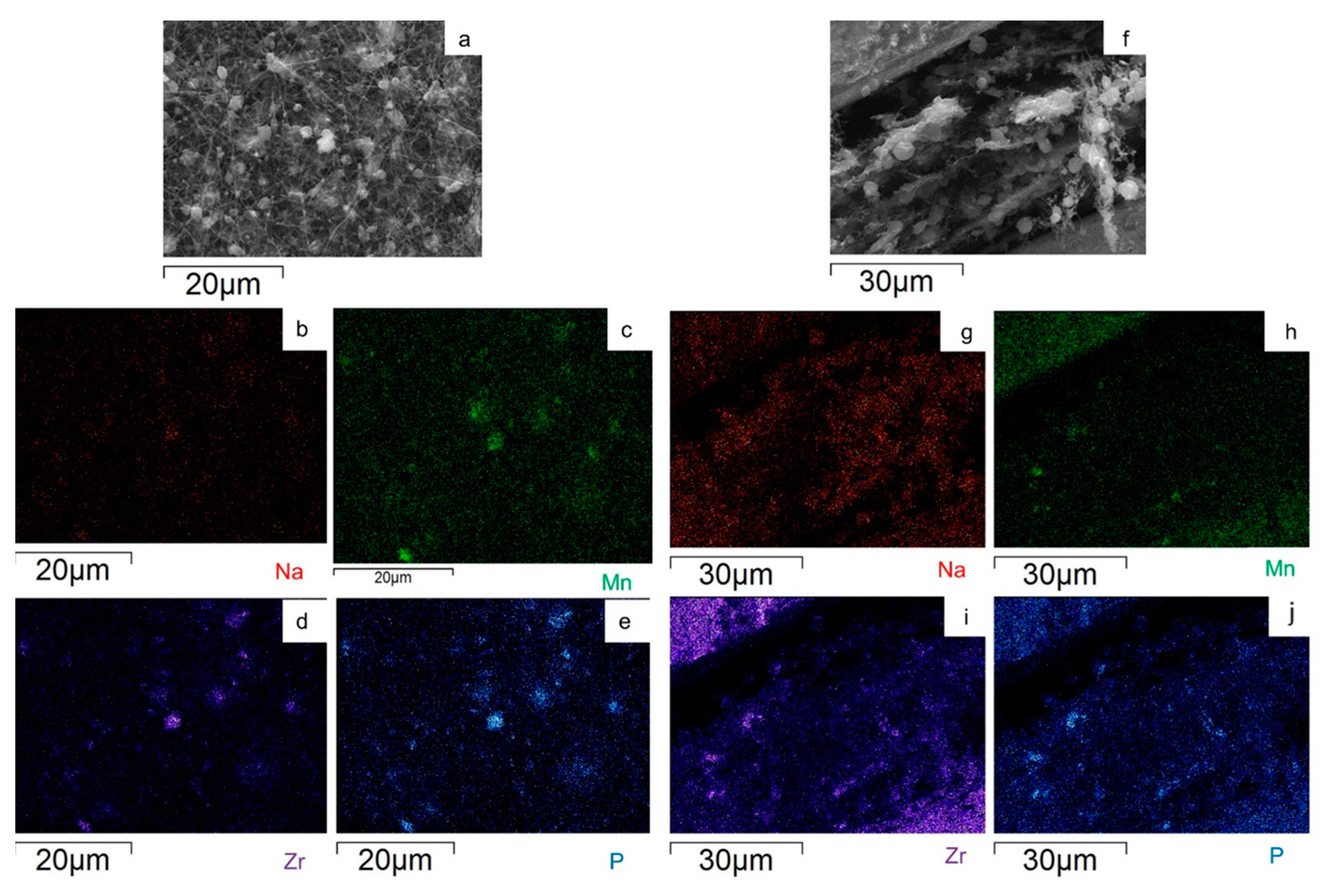 Molecules 29 01885 g007