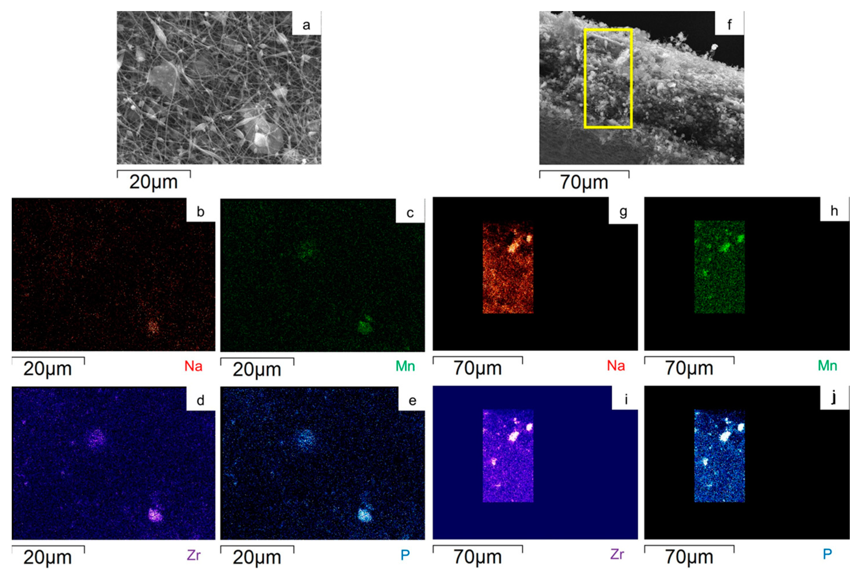 Molecules 29 01885 g008