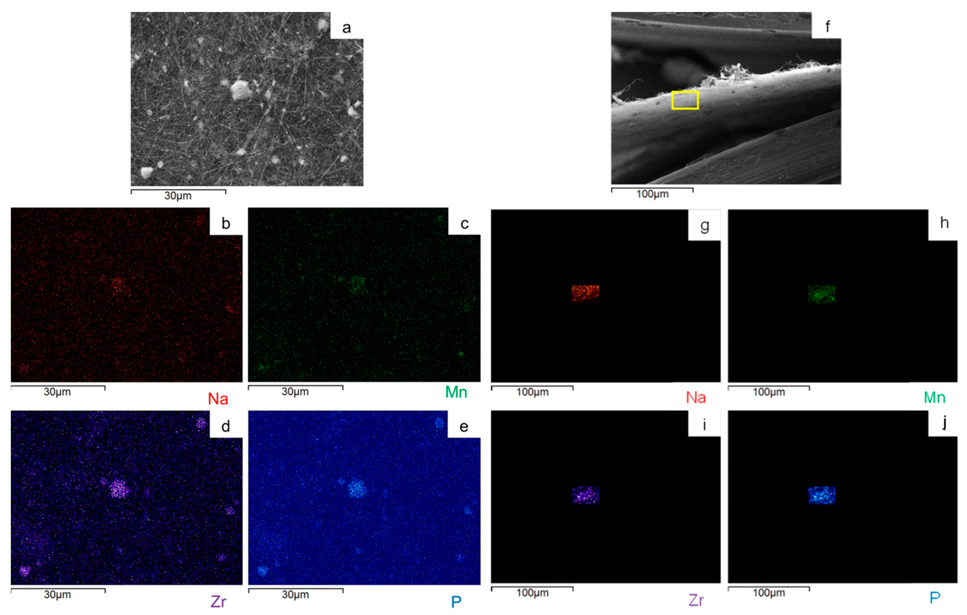 Molecules 29 01885 g009