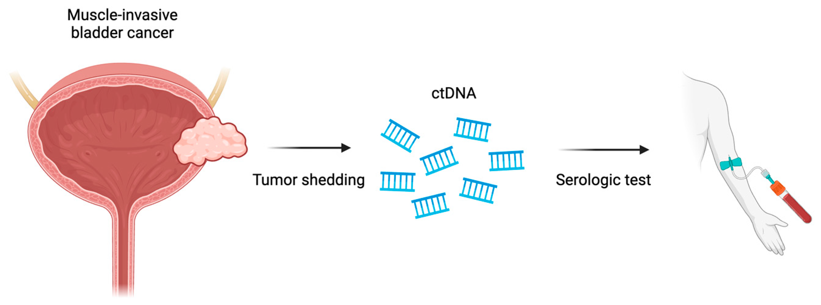 Molecules 29 01896 g004