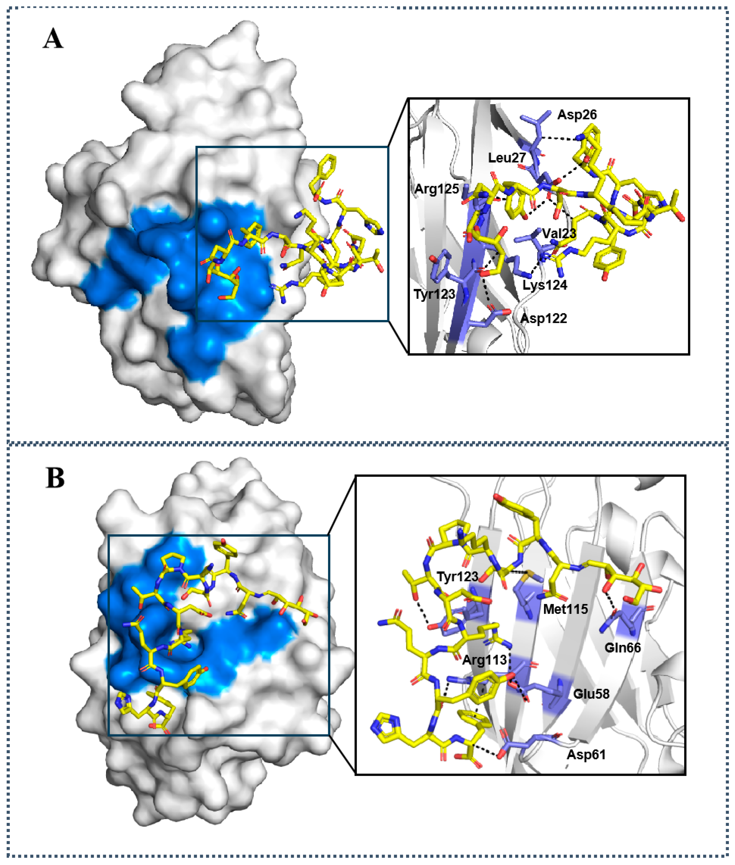Molecules 29 01898 g002