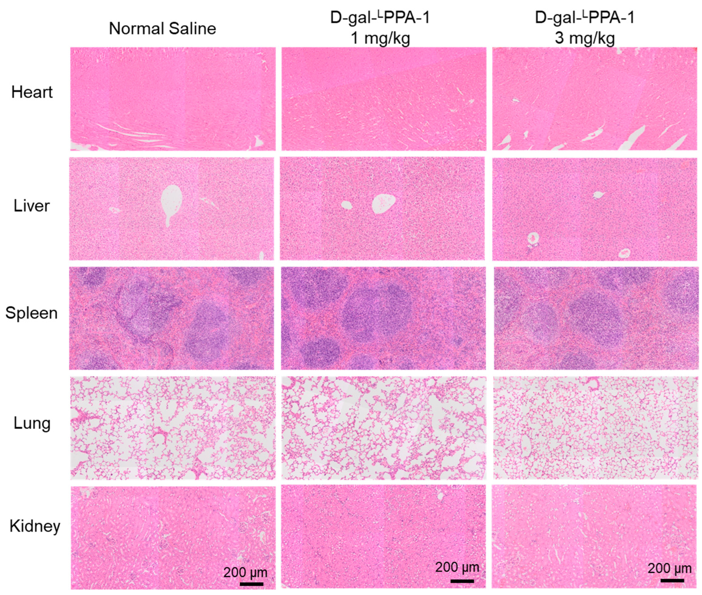 Molecules 29 01898 g006