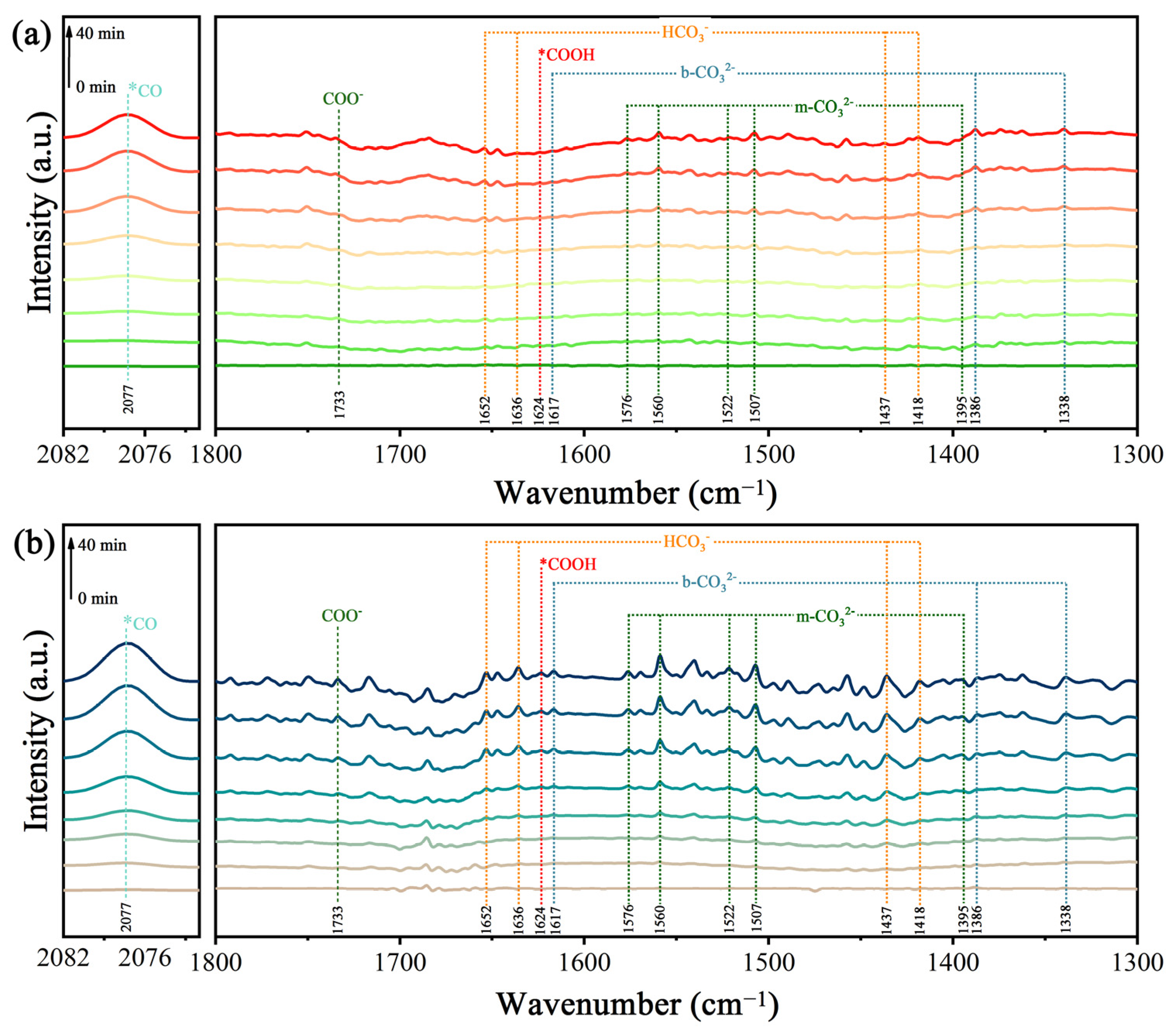 Molecules 29 01899 g008