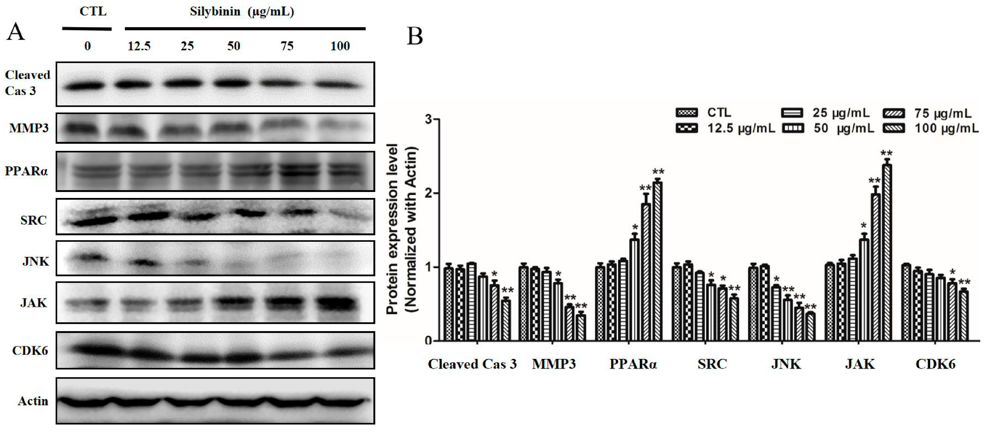 Molecules 29 01901 g008 Molecules 29 01901 g008