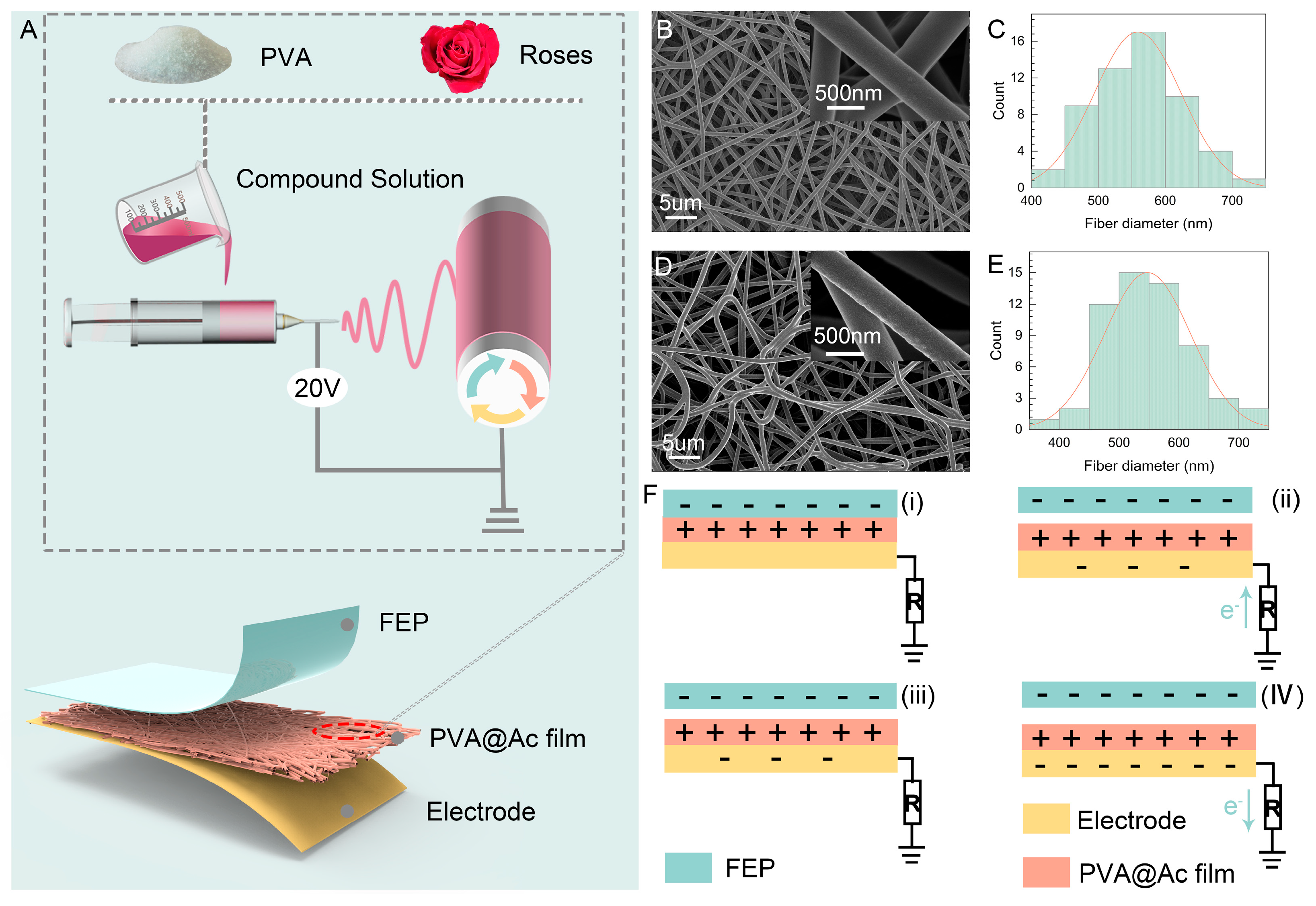 Molecules 29 01925 g001