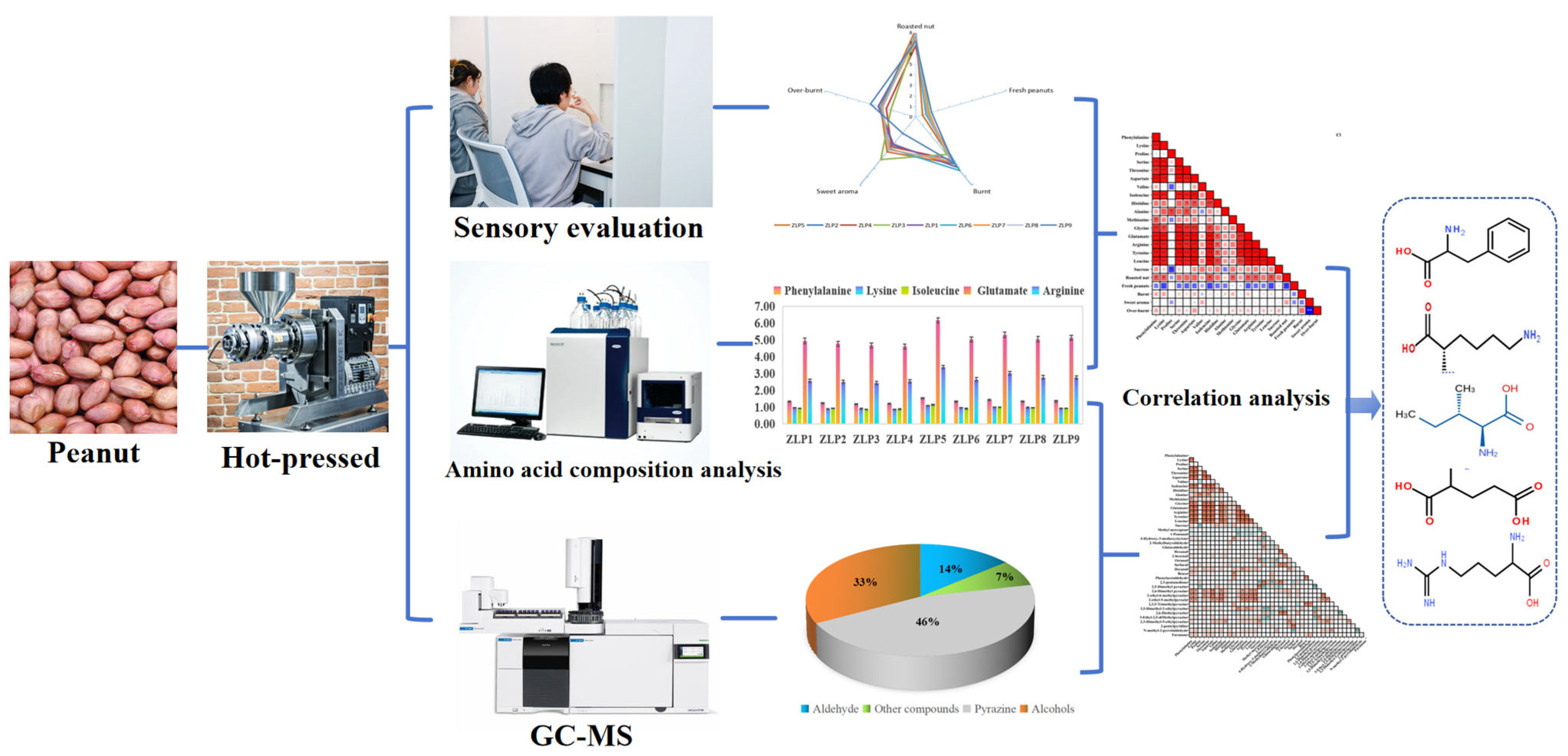 Molecules 29 01947 g001