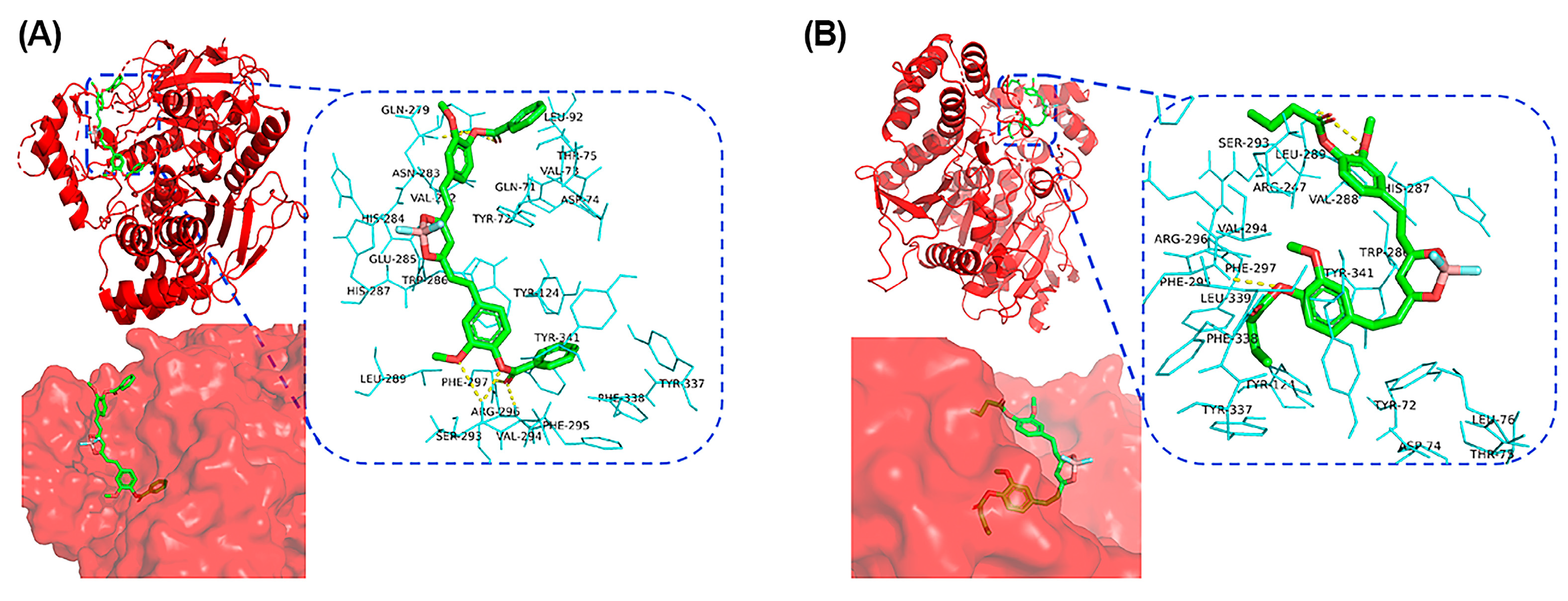 Molecules 29 01961 g004