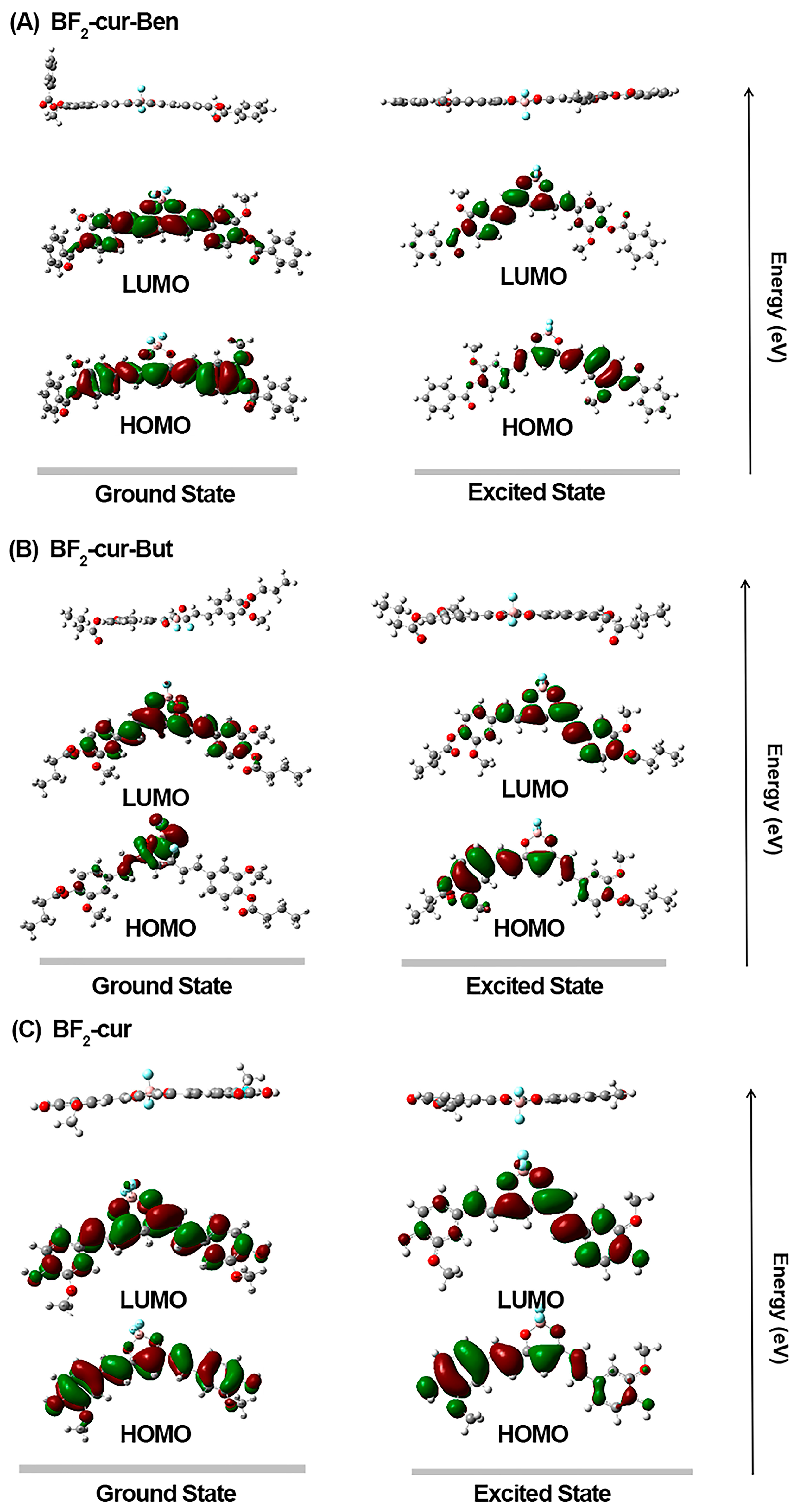 Molecules 29 01961 g005