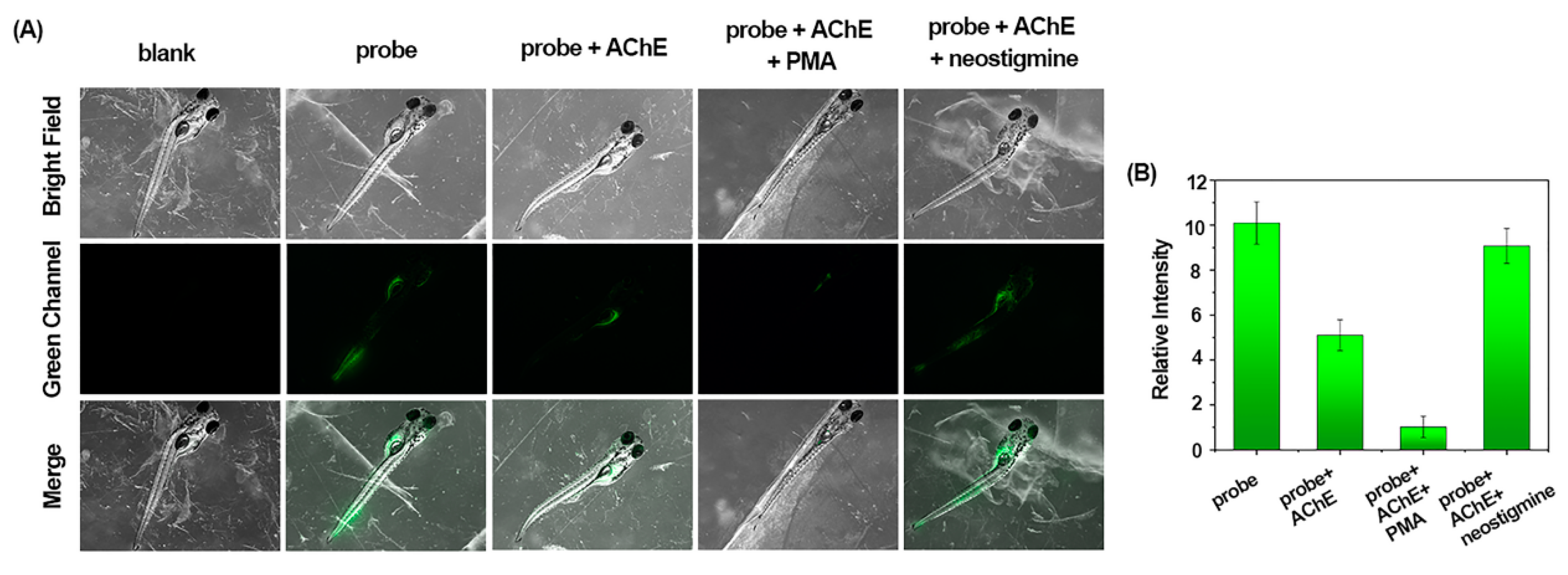 Molecules 29 01961 g008