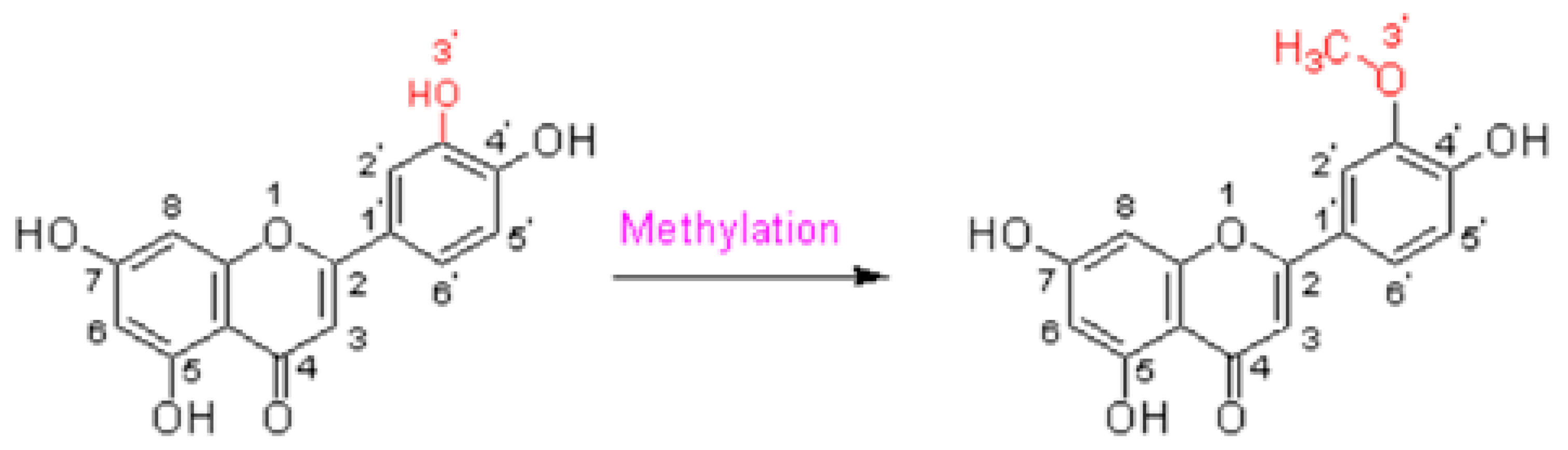 Molecules 29 01972 g002
