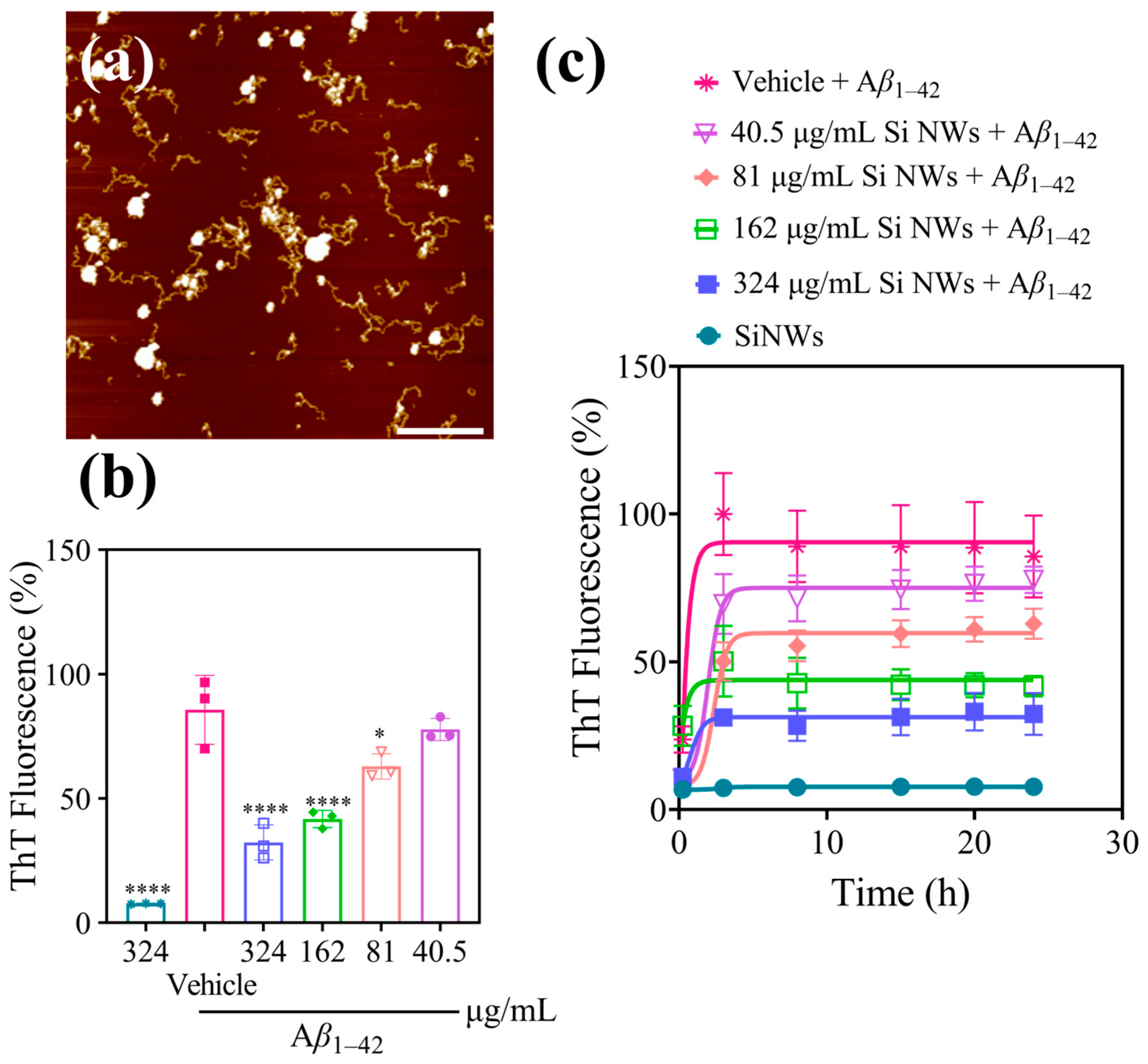 Molecules 29 01980 g002 Molecules 29 01980 g002