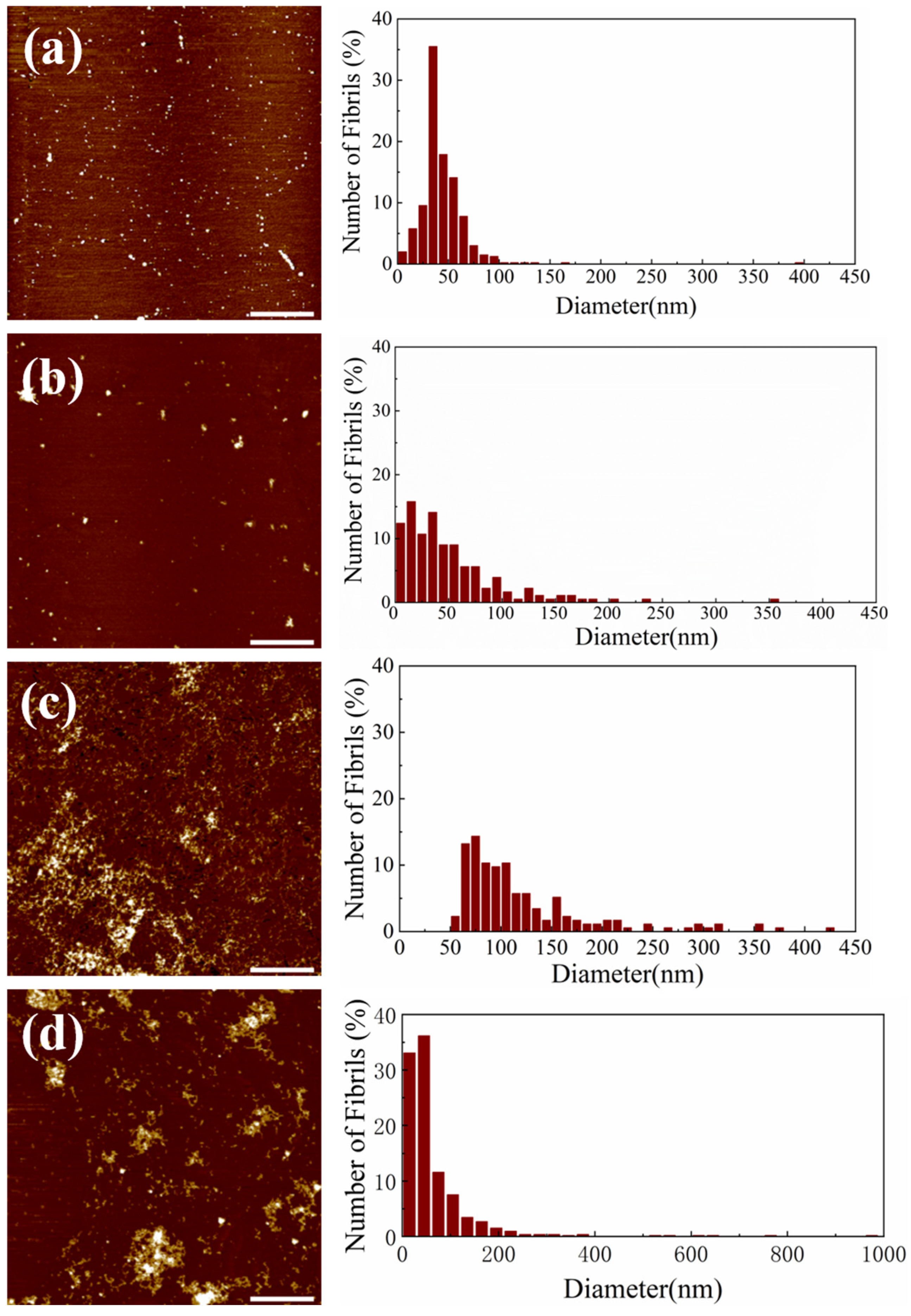 Molecules 29 01980 g003 Molecules 29 01980 g003