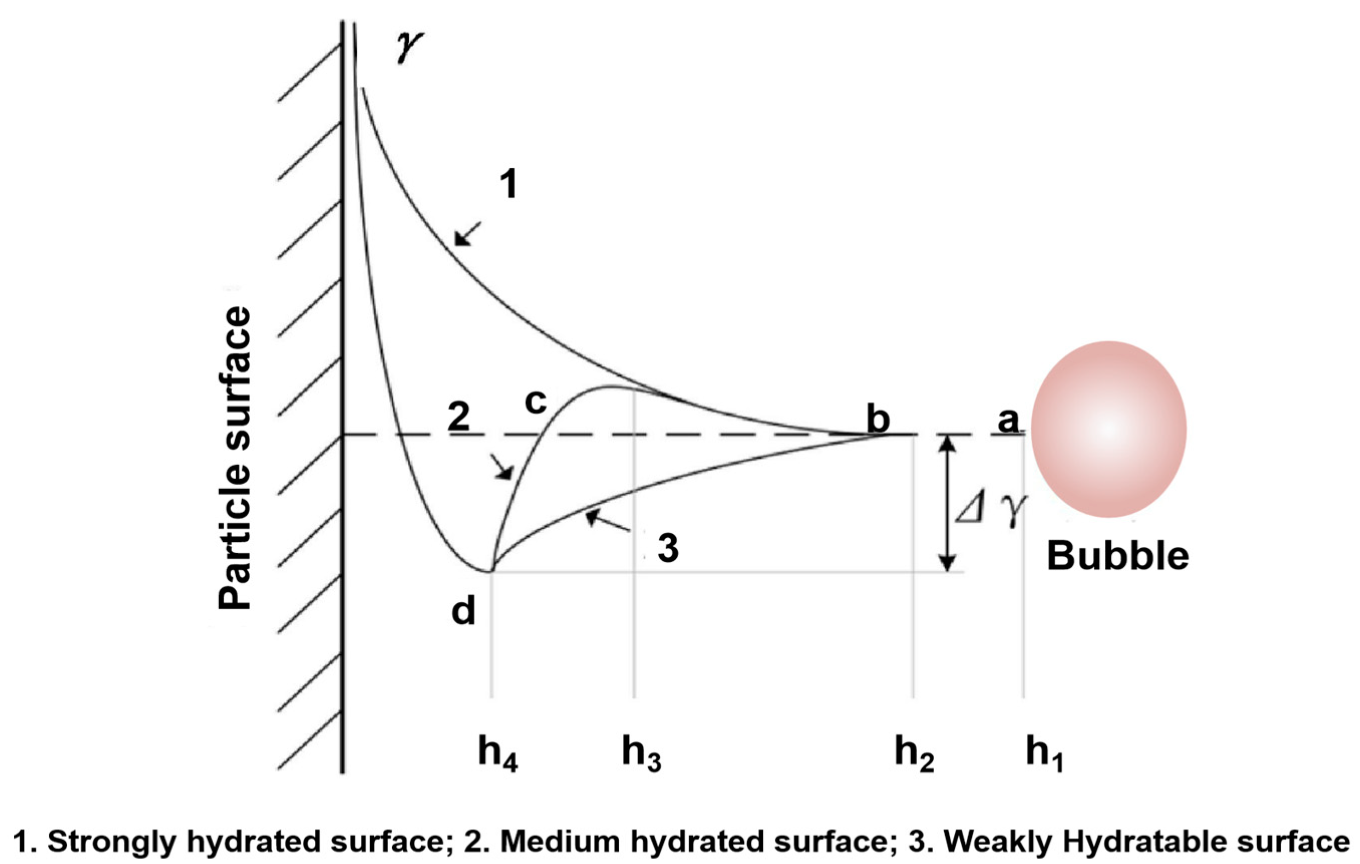 Molecules 29 01984 g003
