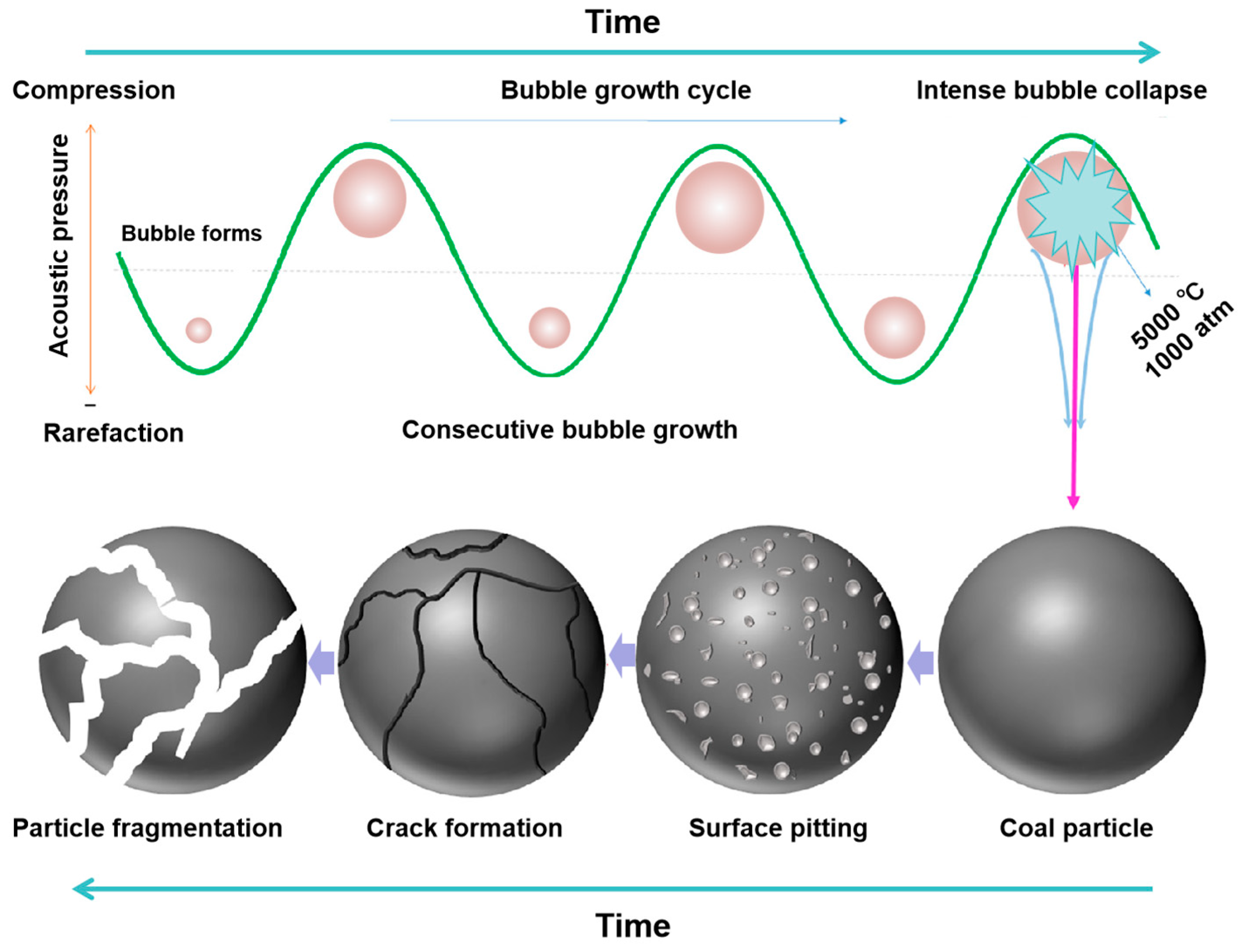 Molecules 29 01984 g004