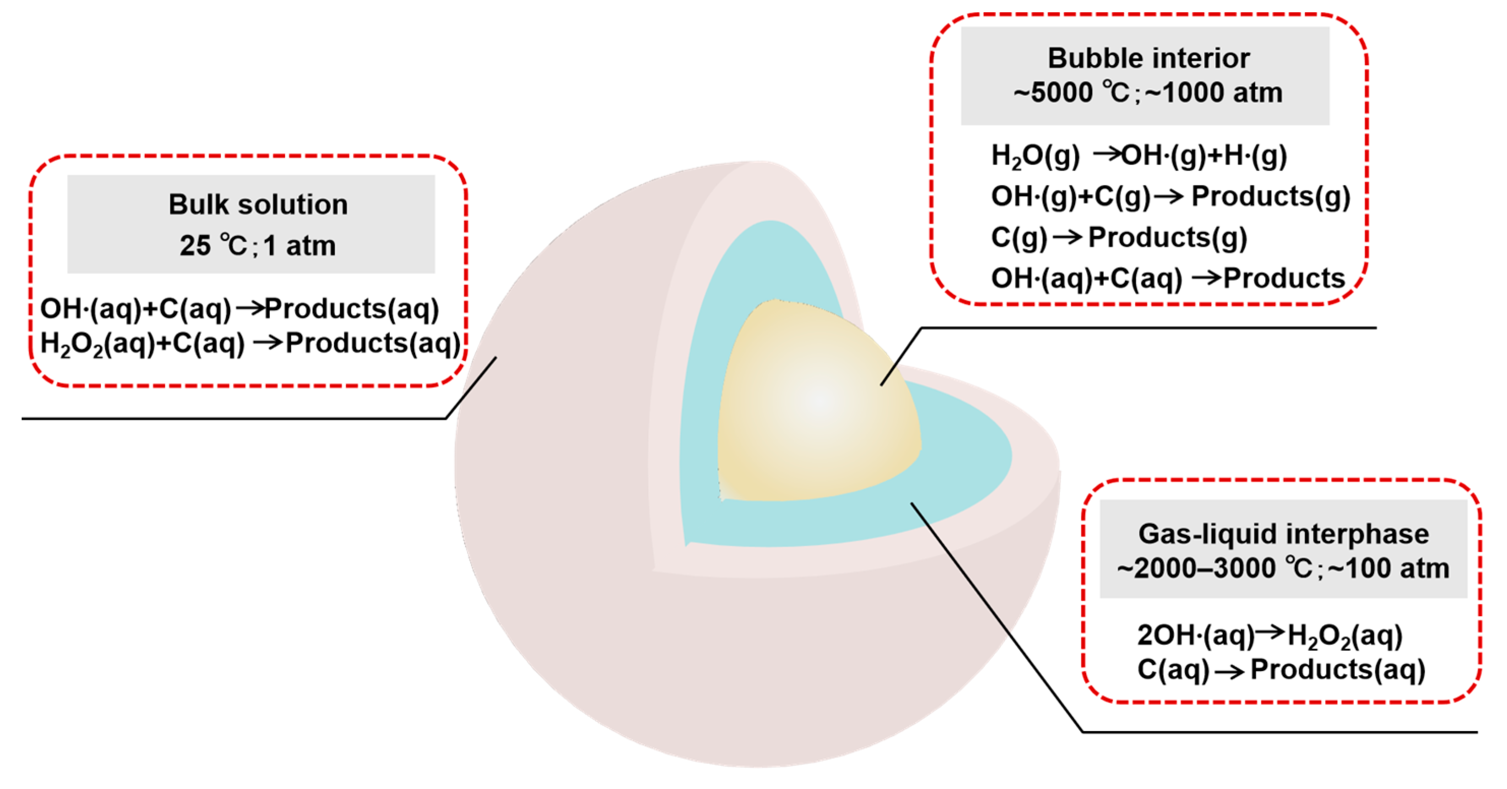 Molecules 29 01984 g005