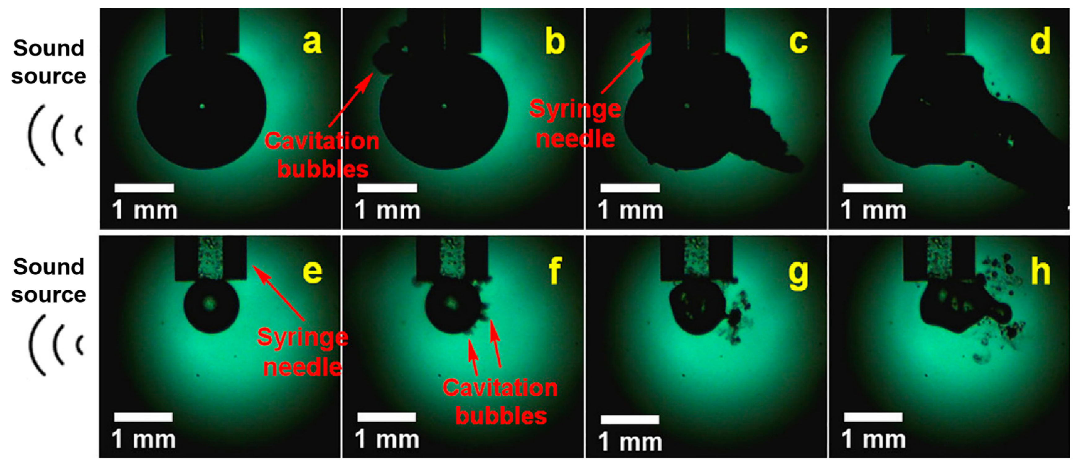 Molecules 29 01984 g006