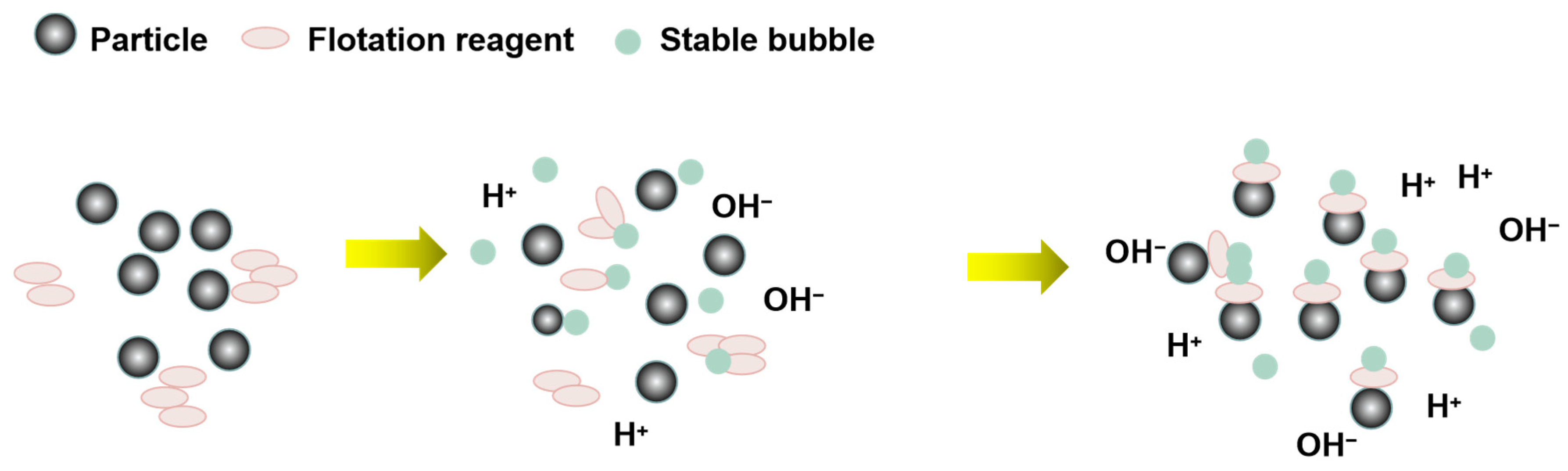 Molecules 29 01984 g008