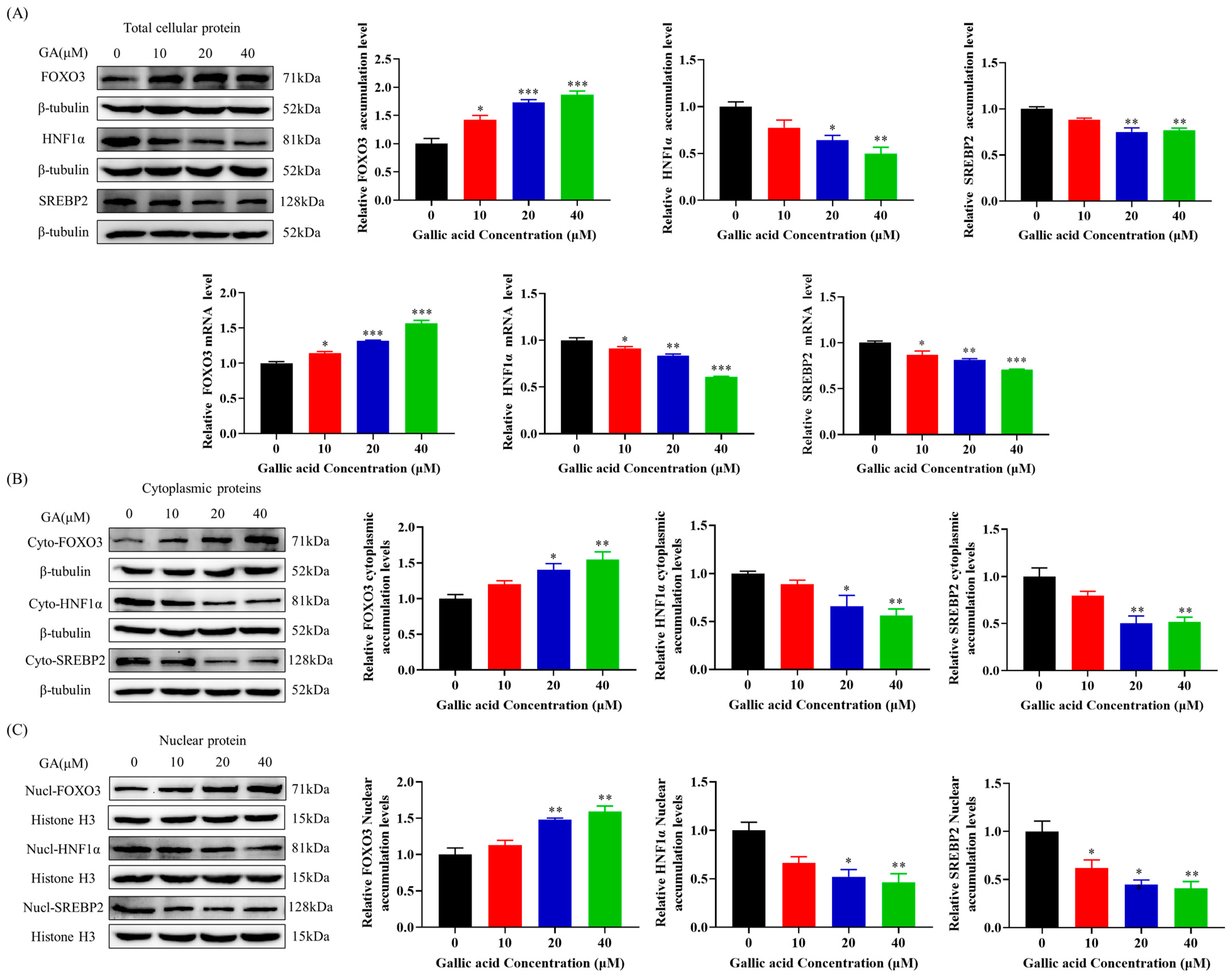 Molecules 29 01999 g004