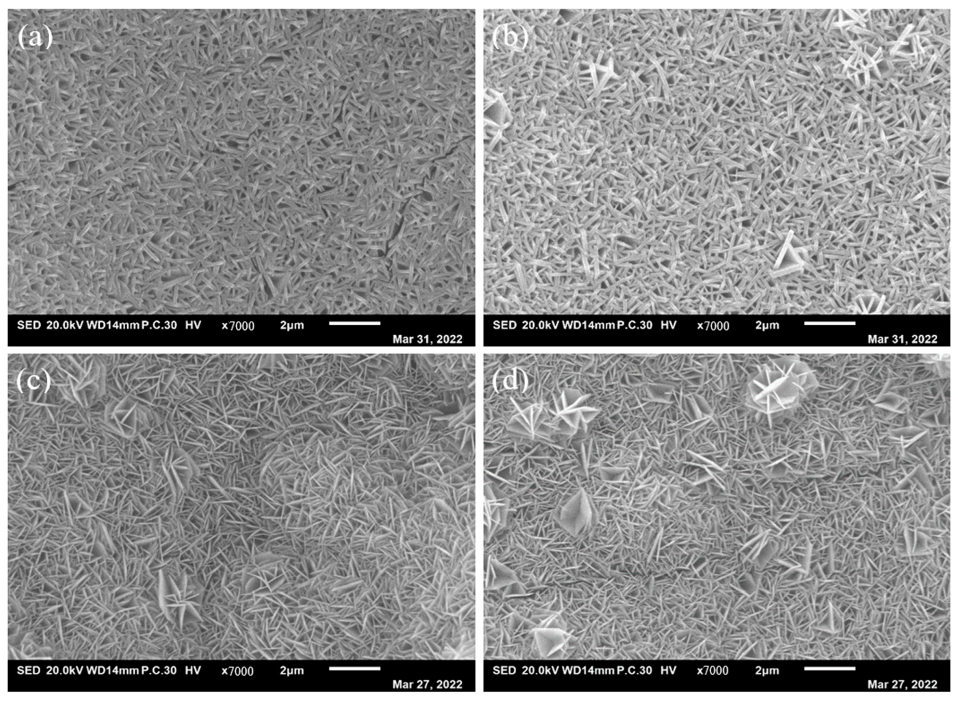 Molecules 29 02092 g002