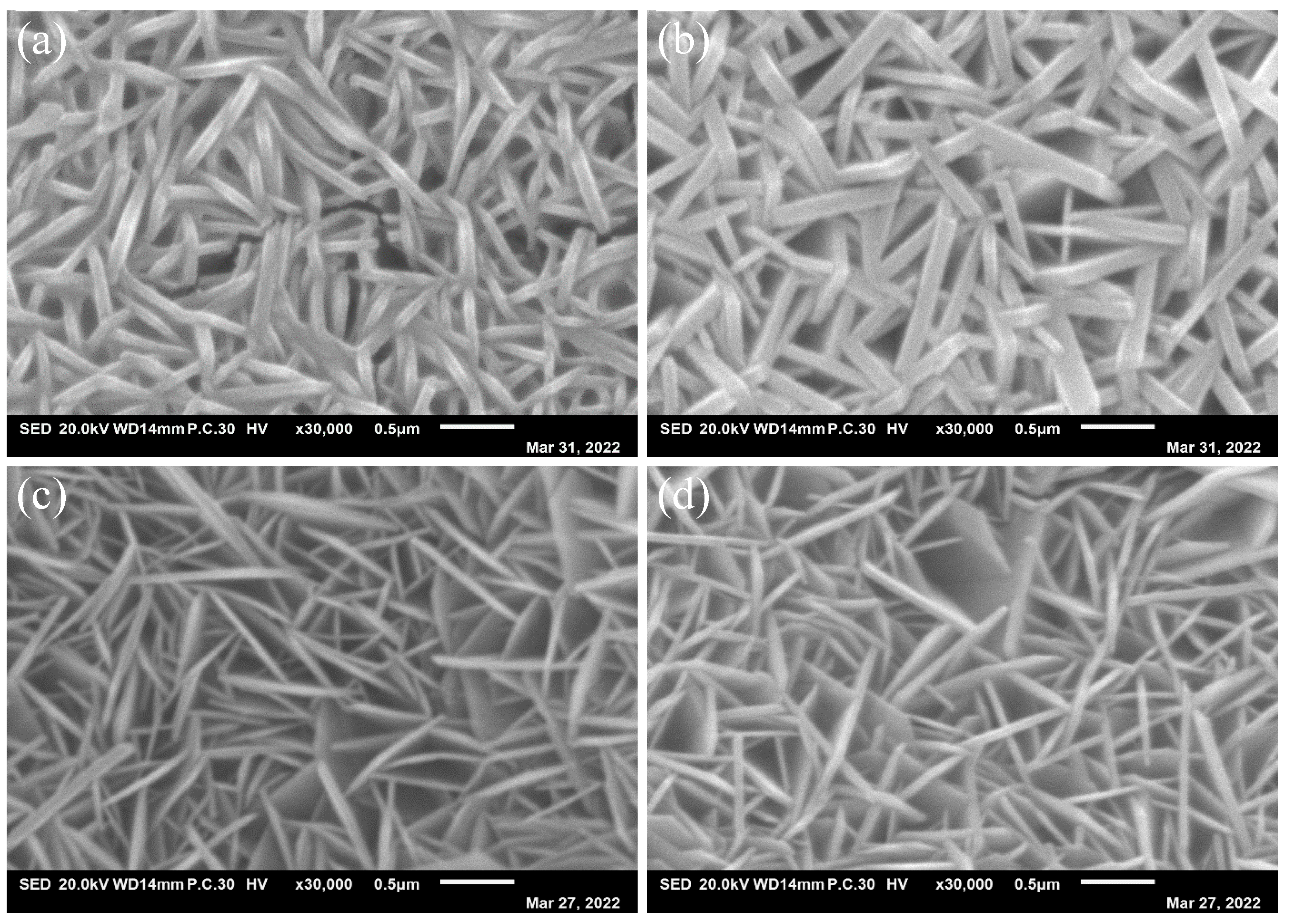 Molecules 29 02092 g003