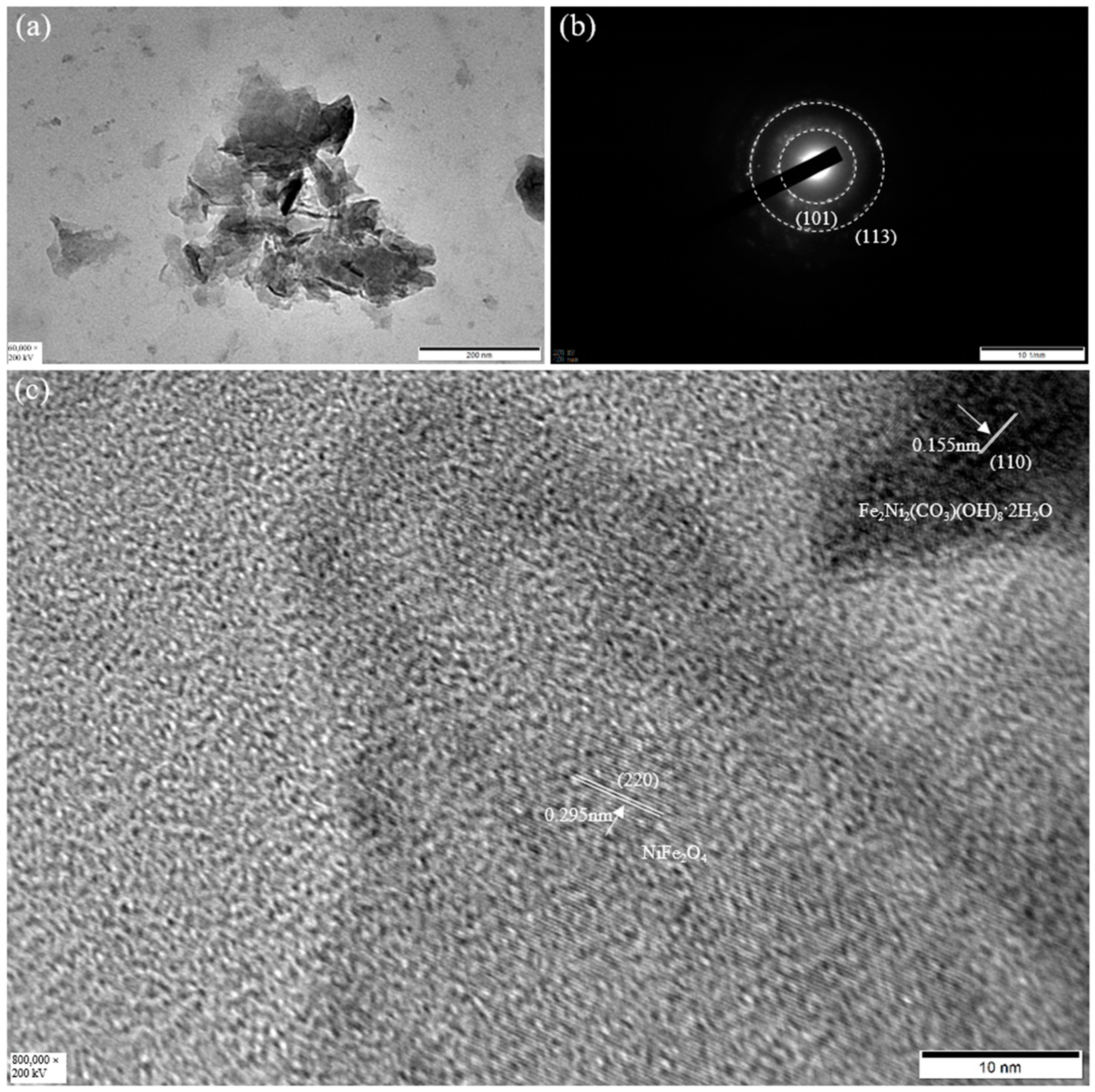 Molecules 29 02092 g005