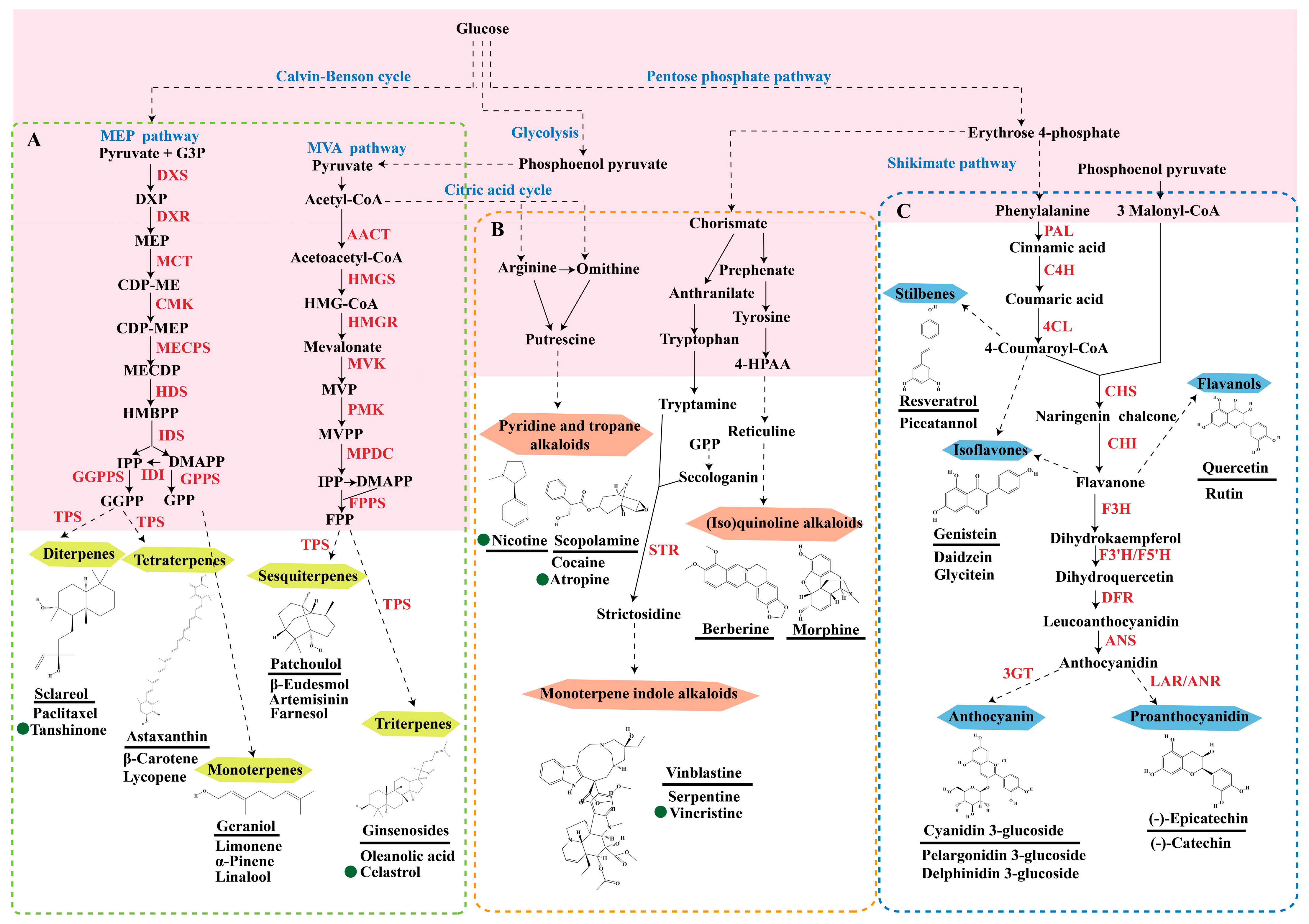 Molecules 29 02106 g001 Molecules 29 02106 g001