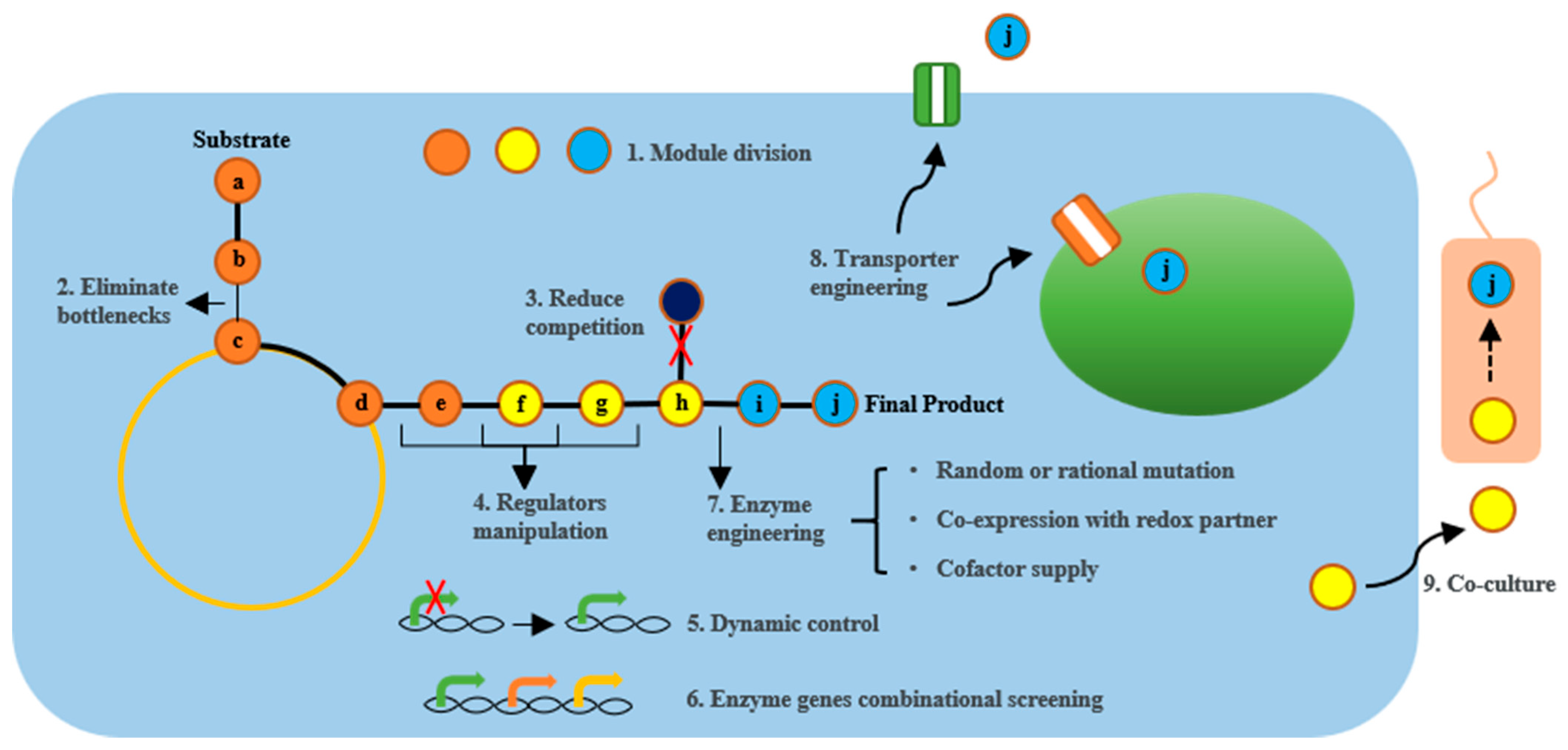 Molecules 29 02106 g002 Molecules 29 02106 g002