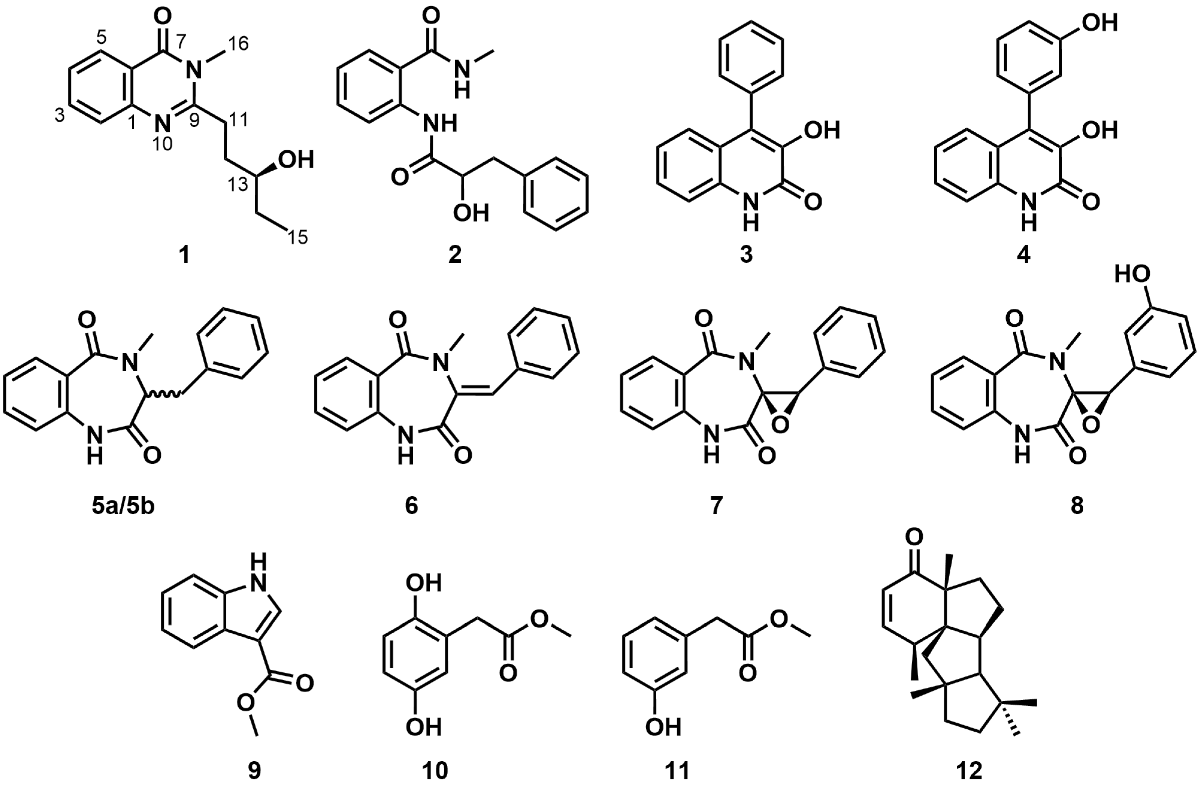 Molecules 29 02112 g001