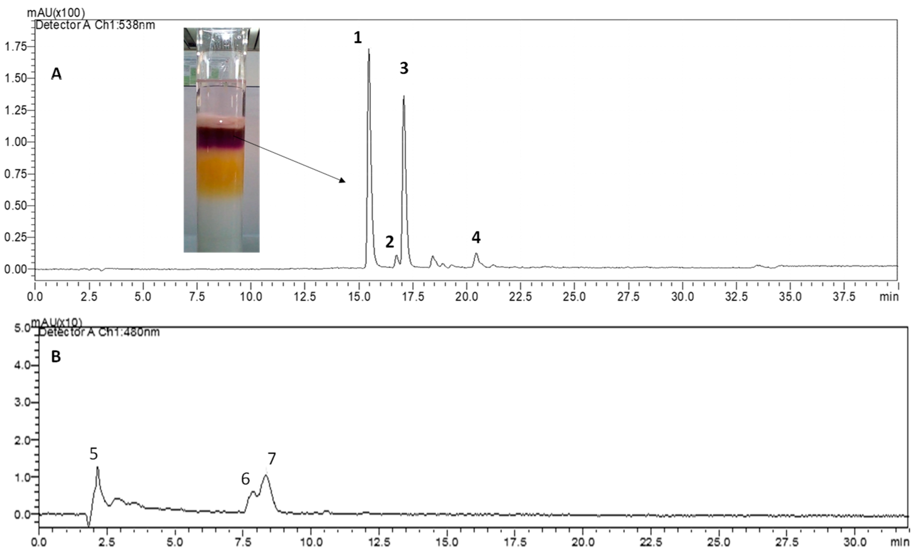 Molecules 29 02116 g001
