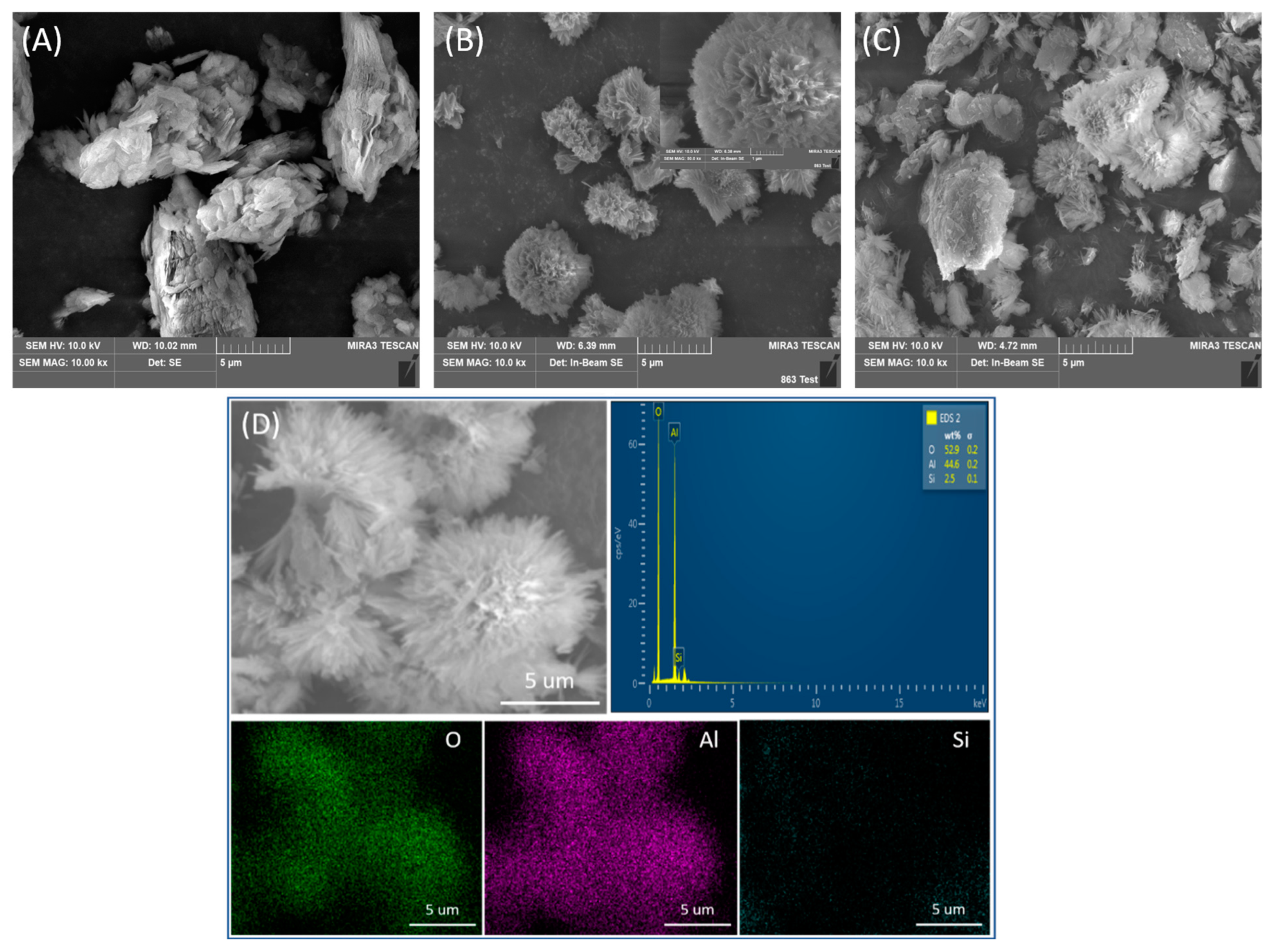 Molecules 29 02121 g004