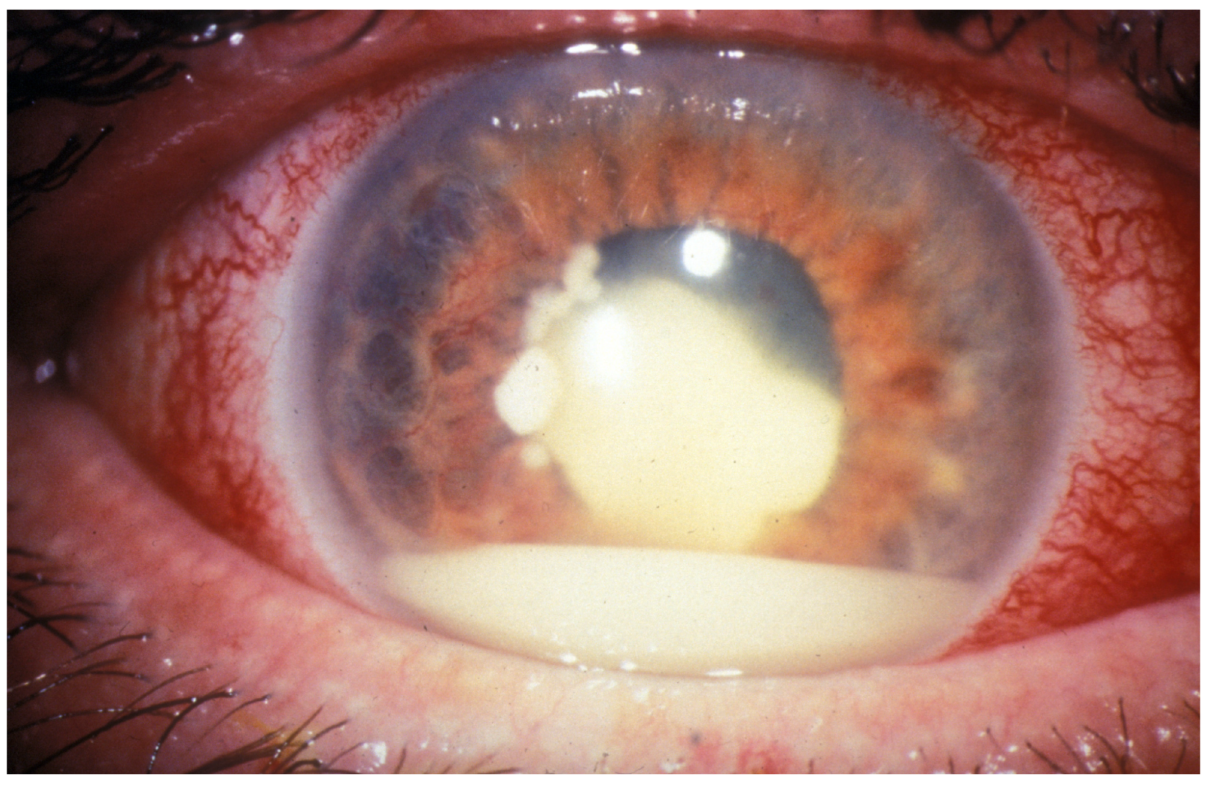 Molecules 29 02263 g001 Molecules 29 02263 g001