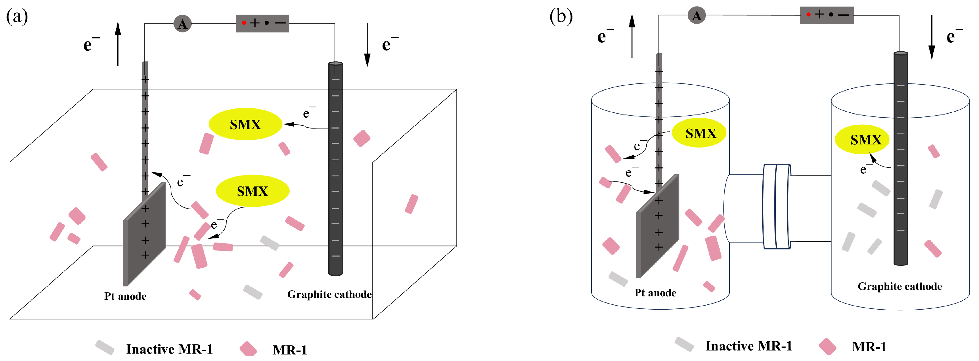 Molecules 29 02276 g007
