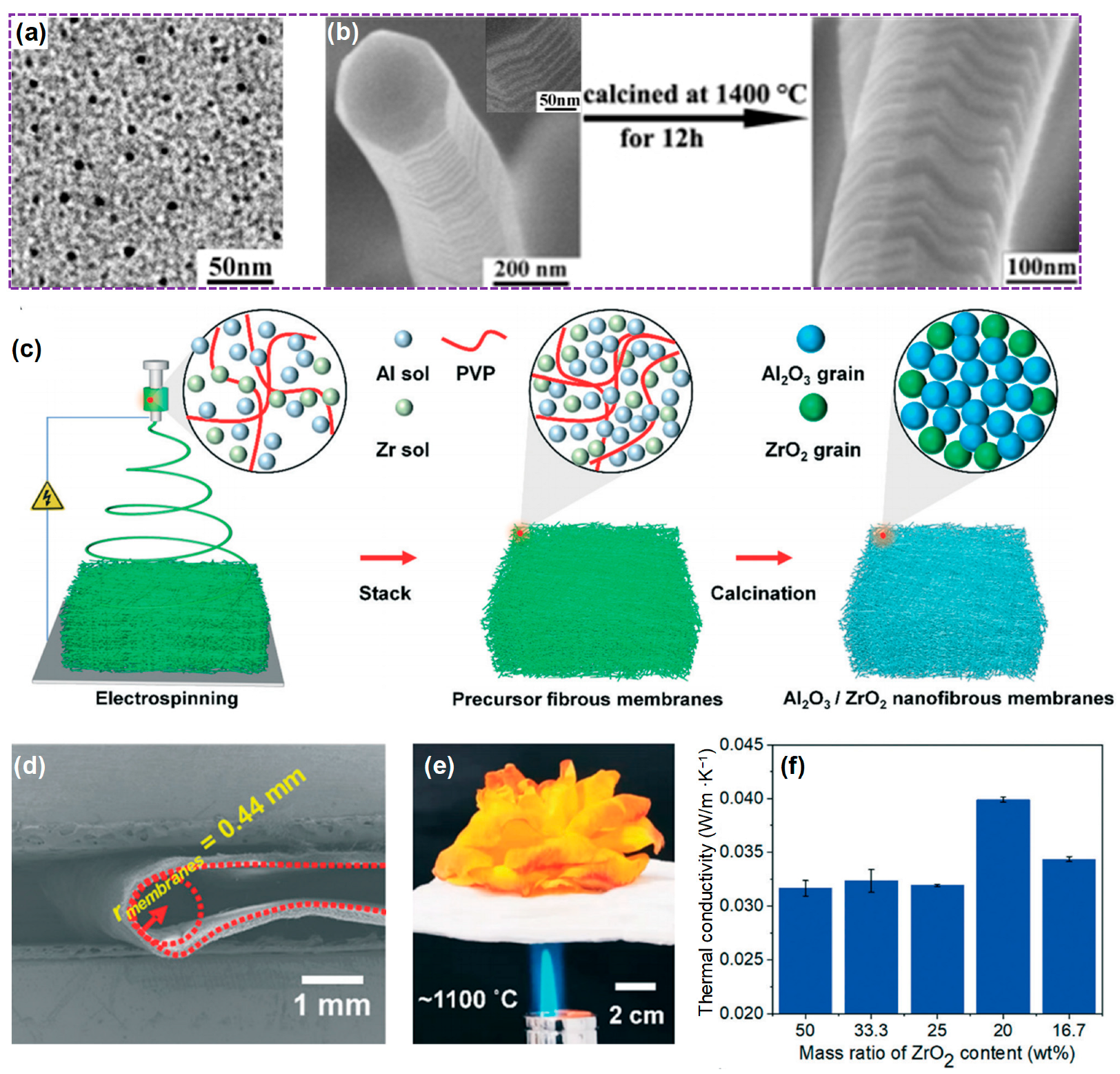 Molecules 29 02279 g005