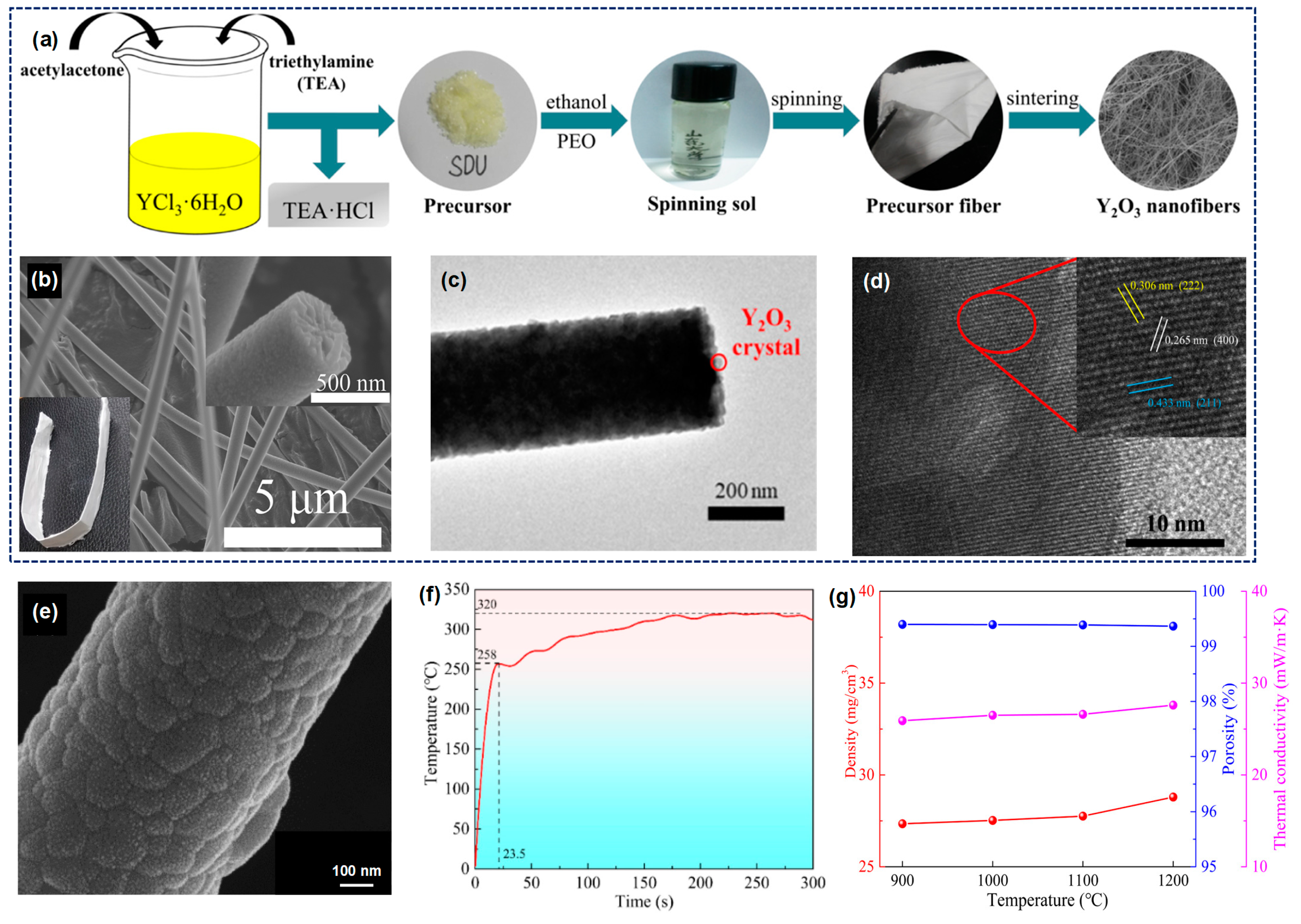 Molecules 29 02279 g007