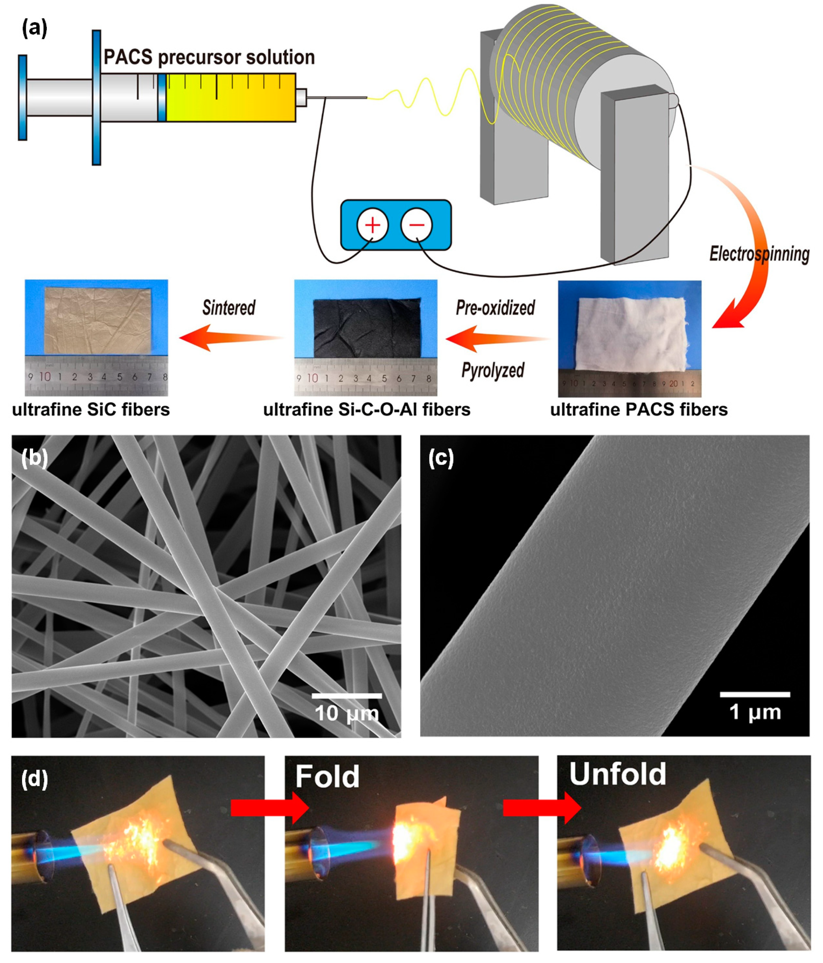 Molecules 29 02279 g009