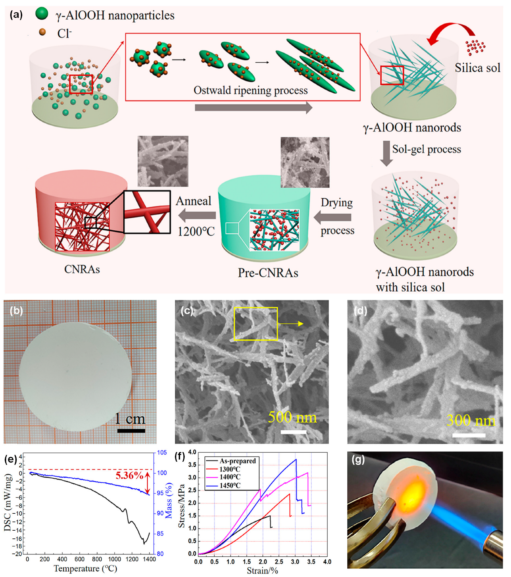 Molecules 29 02279 g013