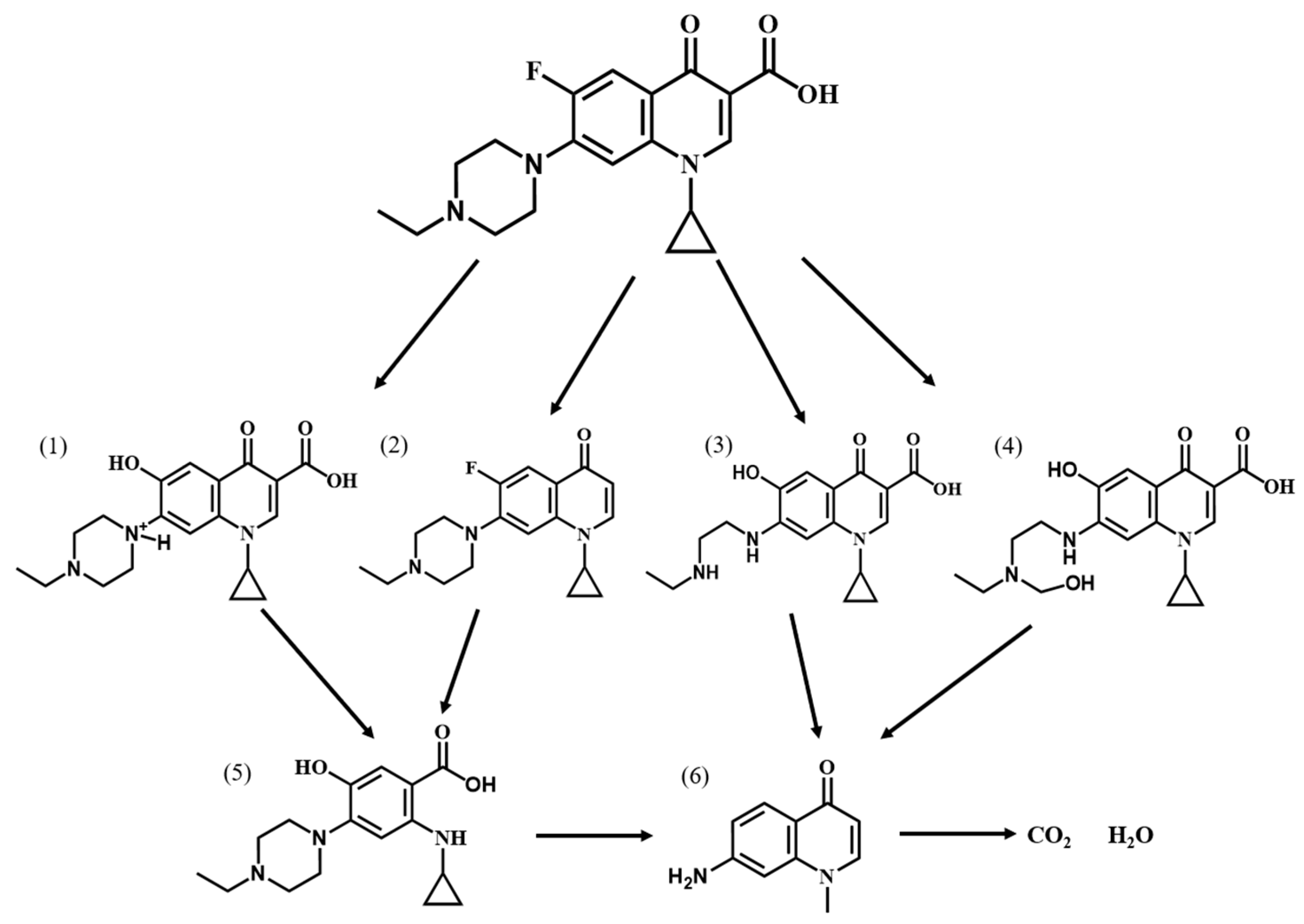 Molecules 29 02294 g012