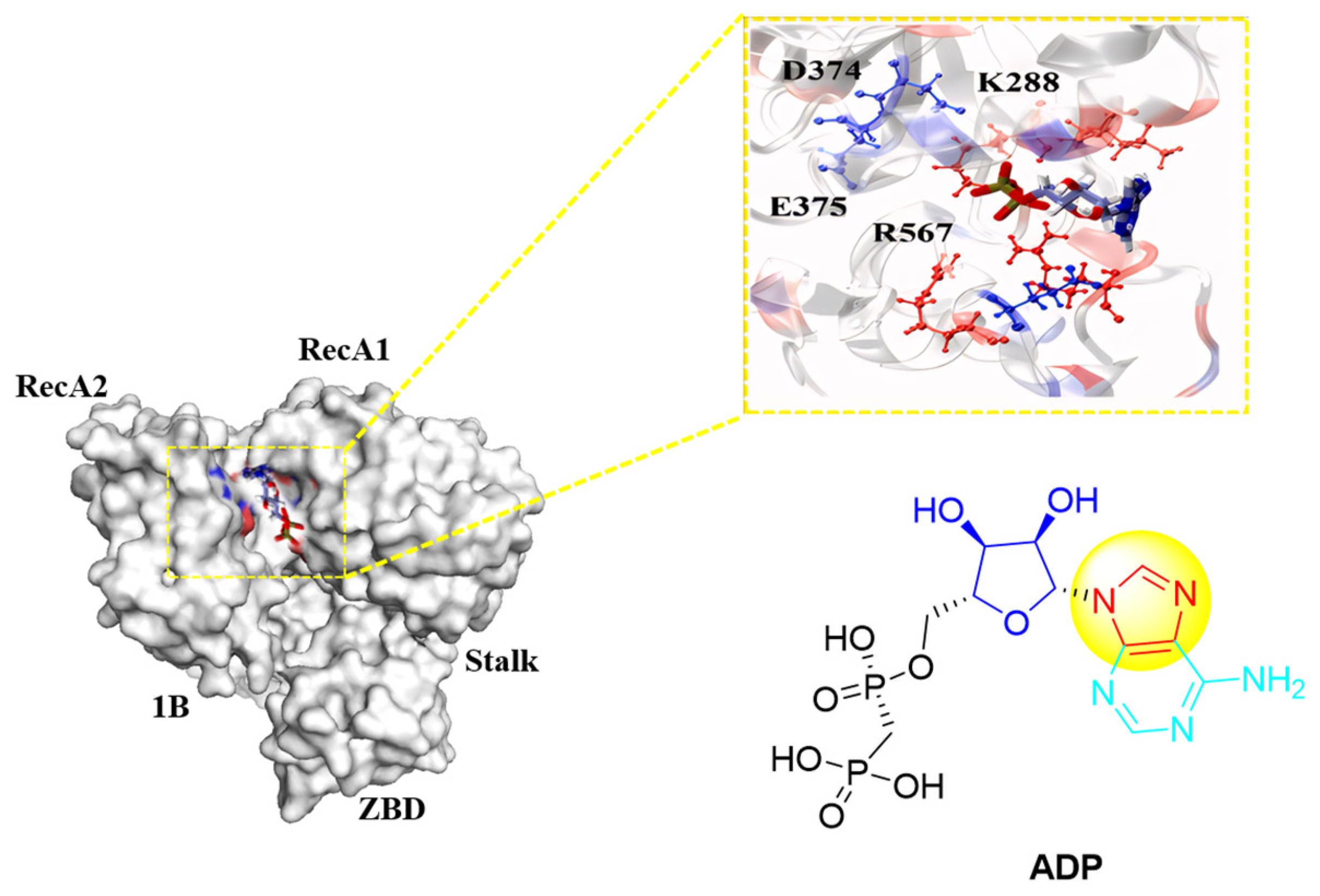 Molecules 29 02301 g005