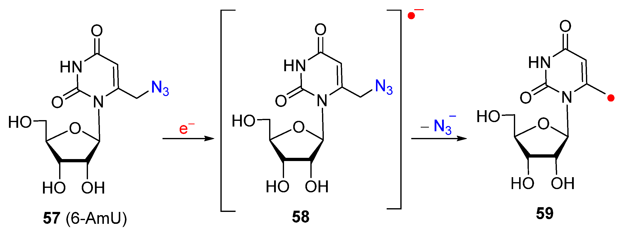 Molecules 29 02310 g010 Molecules 29 02310 g010