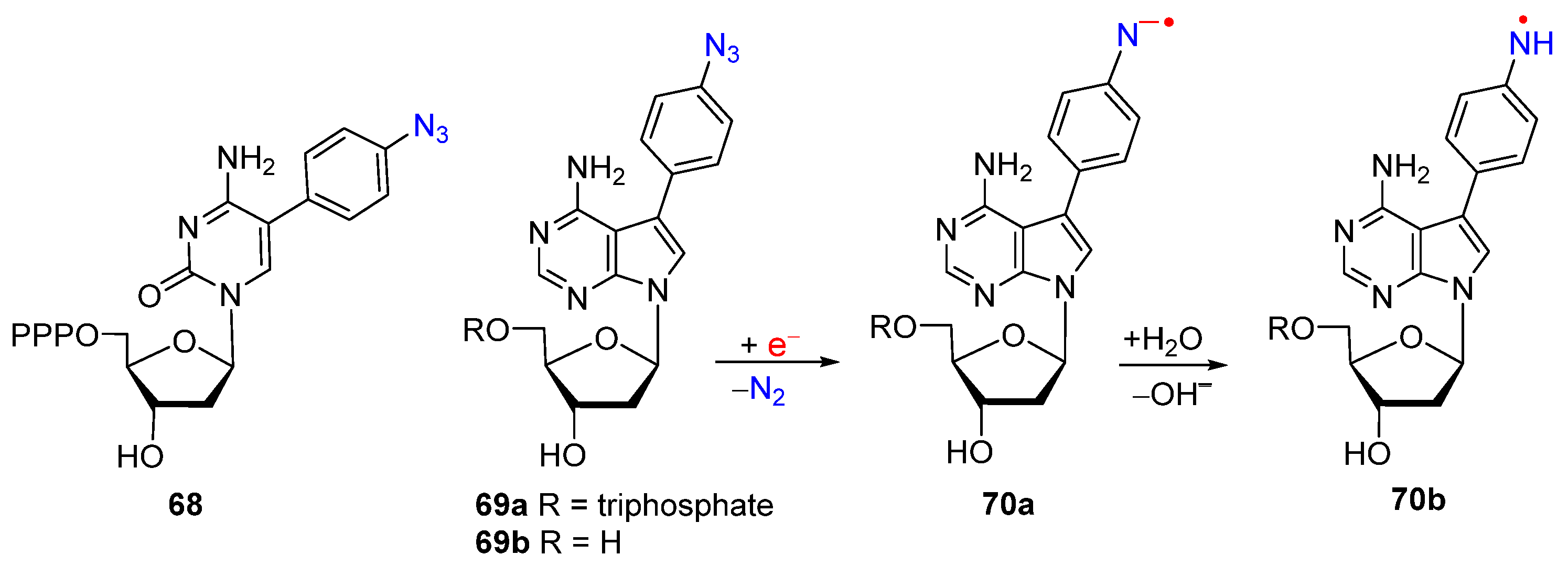 Molecules 29 02310 g012 Molecules 29 02310 g012
