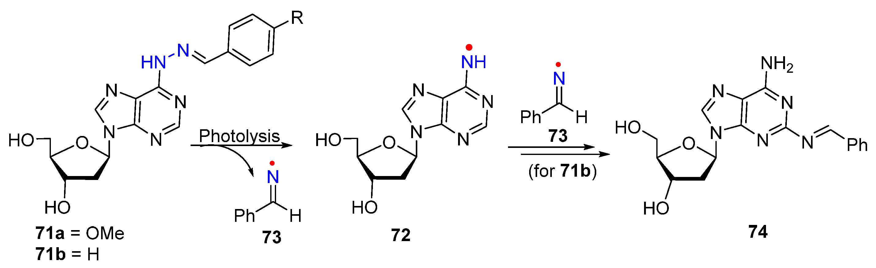 Molecules 29 02310 g013 Molecules 29 02310 g013