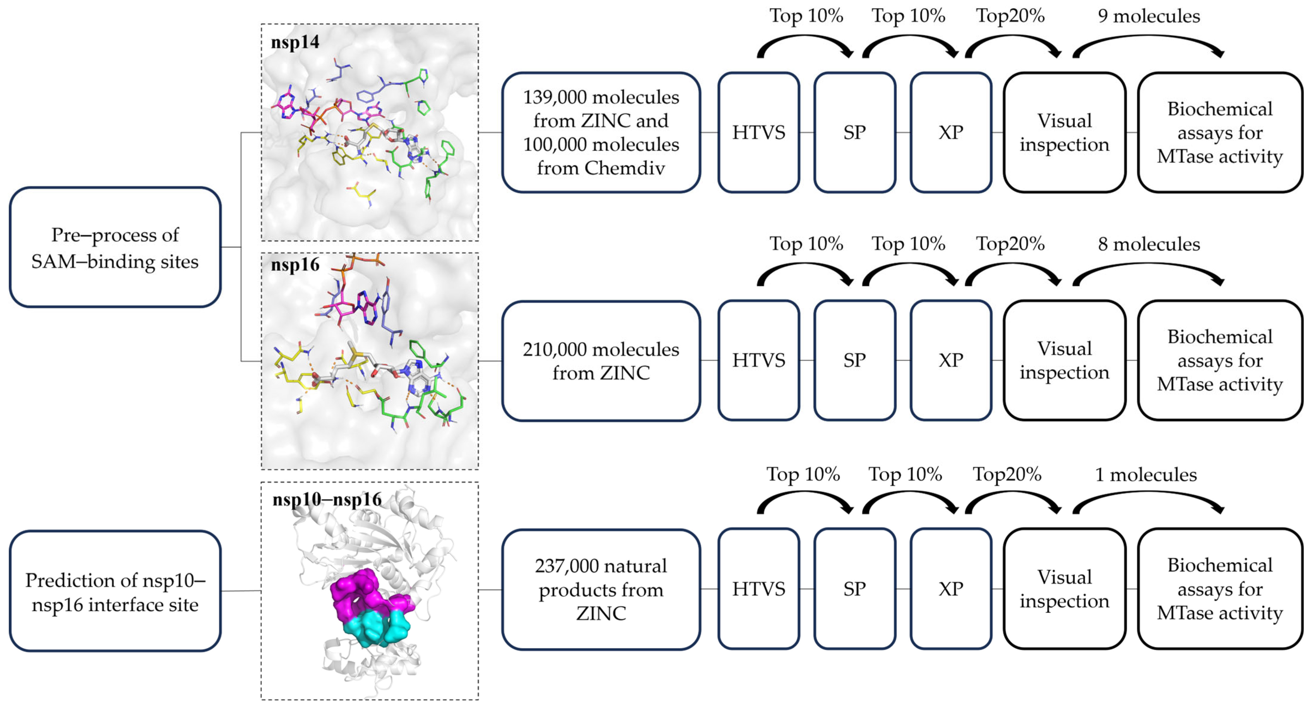 Molecules 29 02312 g002