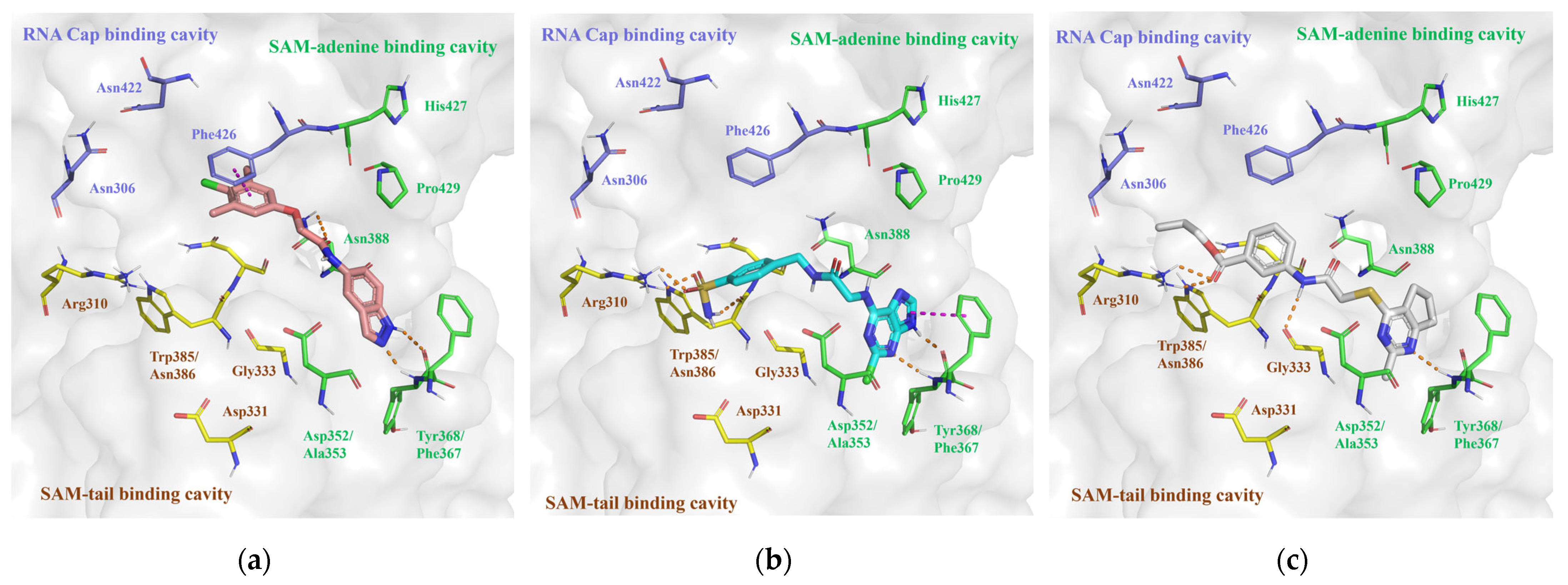 Molecules 29 02312 g005