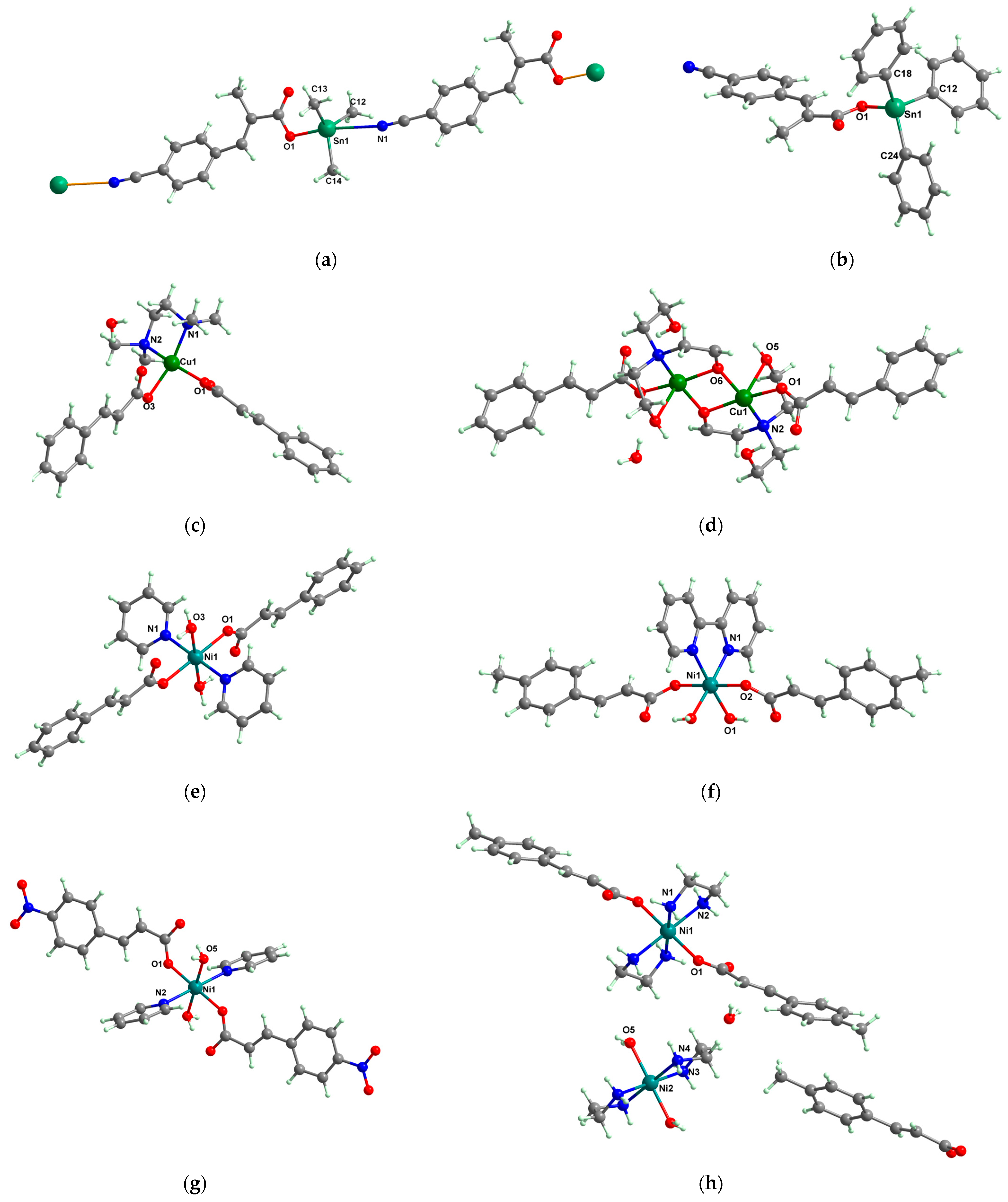 Molecules 29 02321 g003