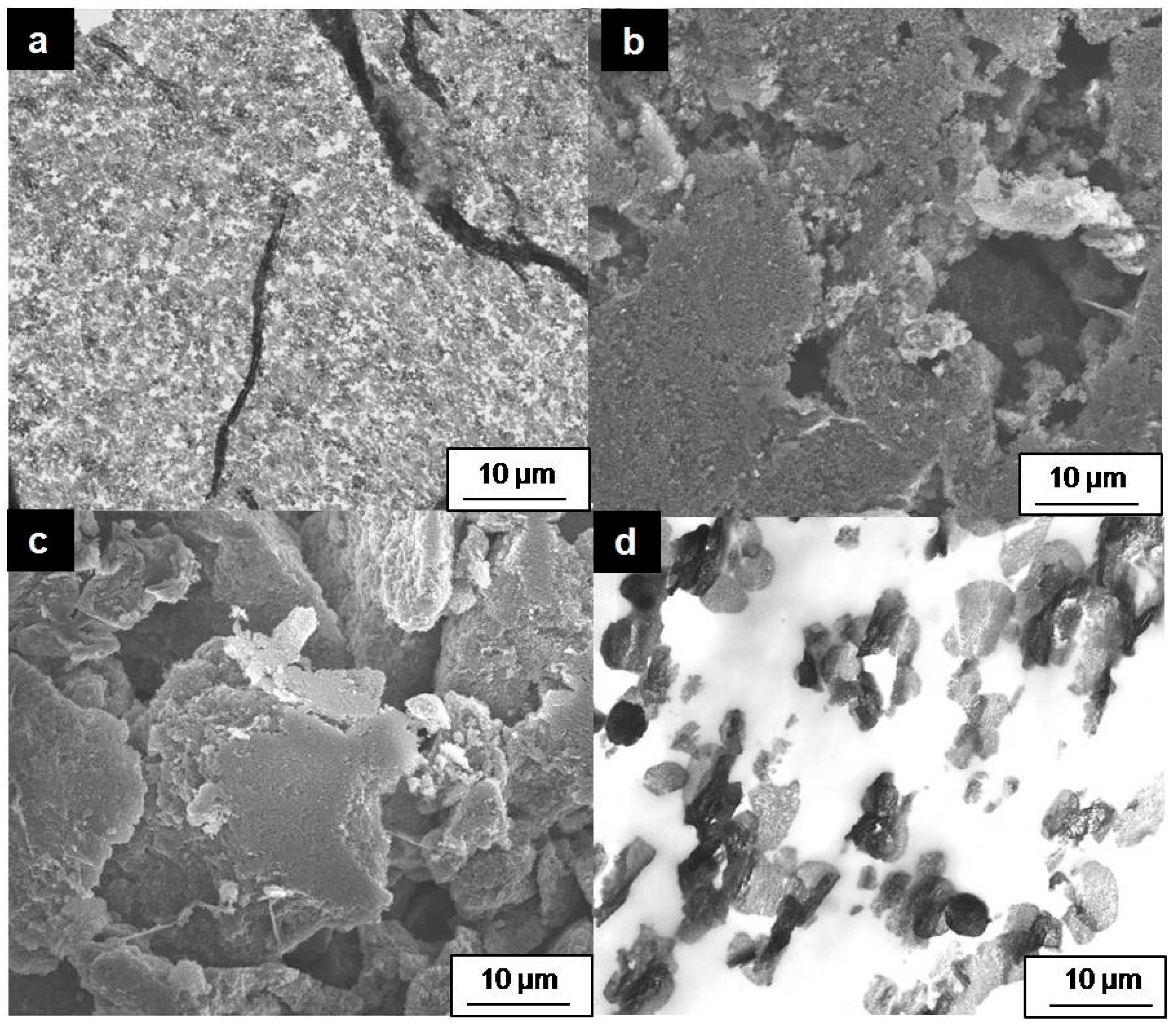 Molecules 29 02324 g008