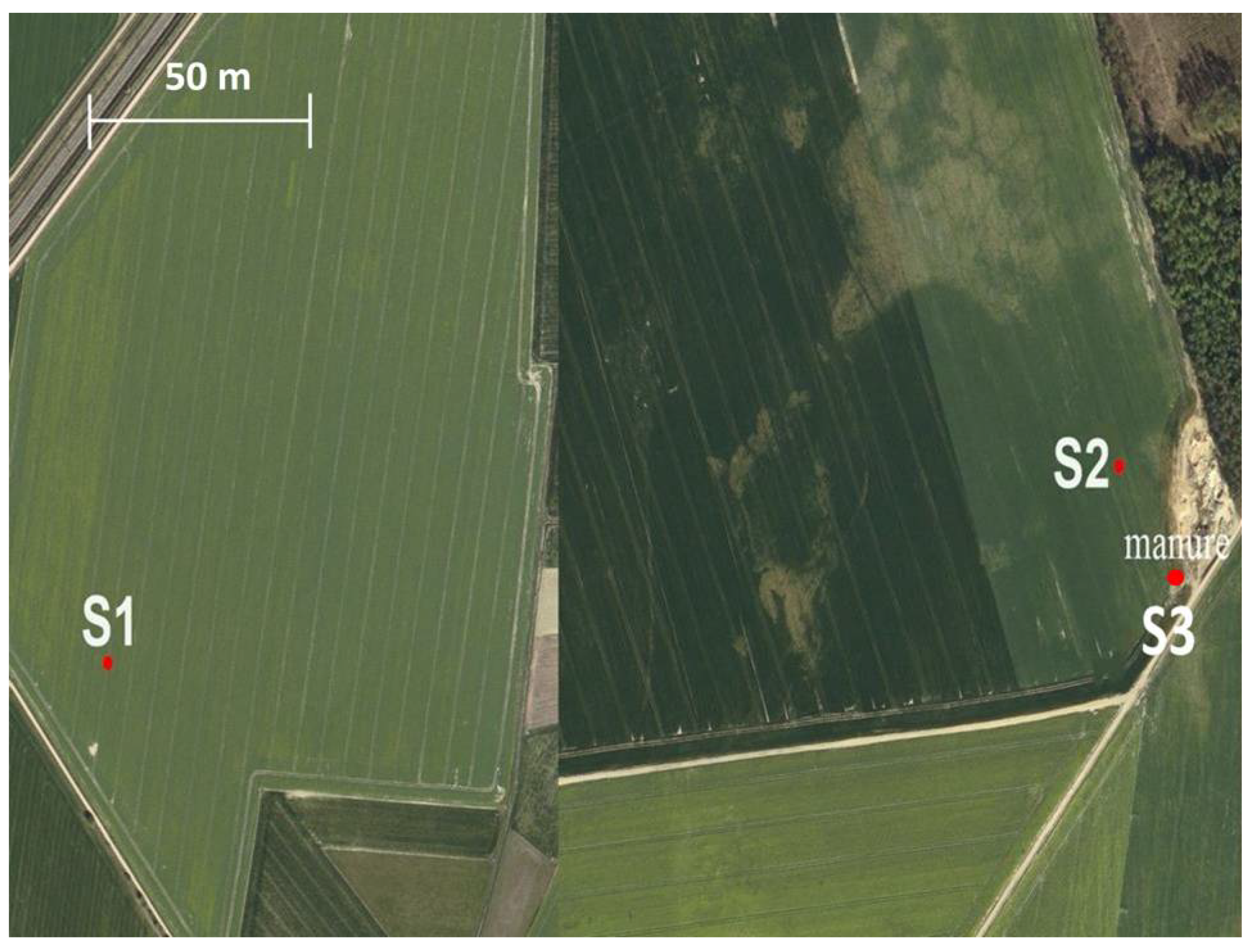 Molecules 29 02336 g001