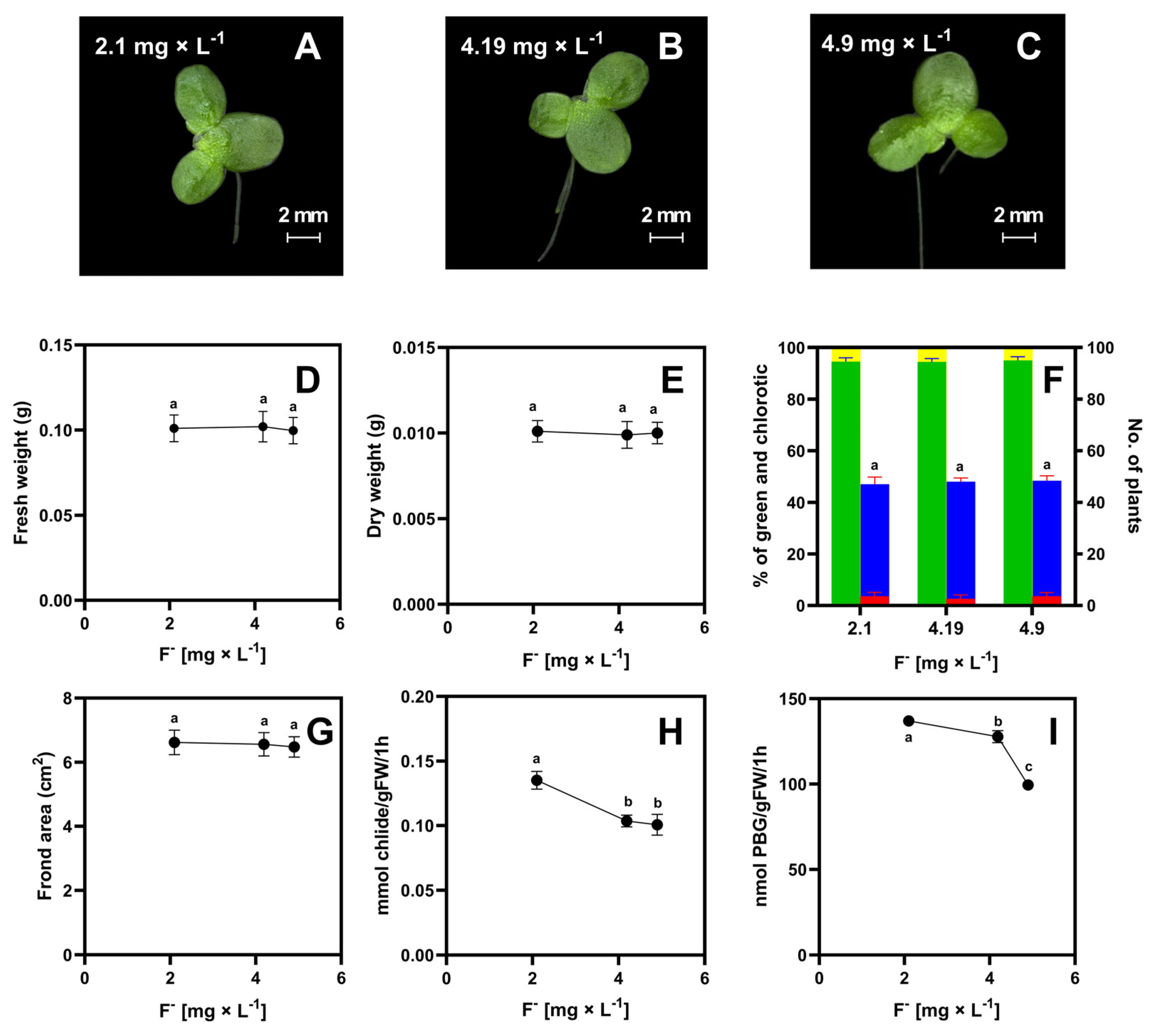 Molecules 29 02336 g002