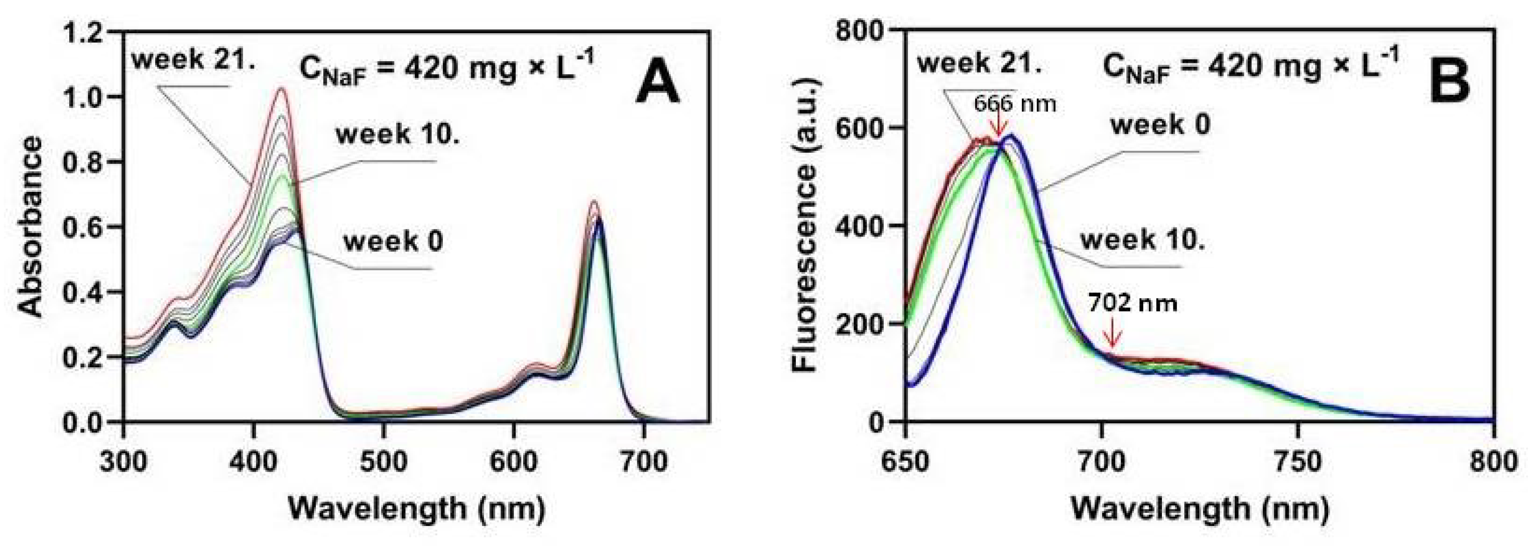 Molecules 29 02336 g005