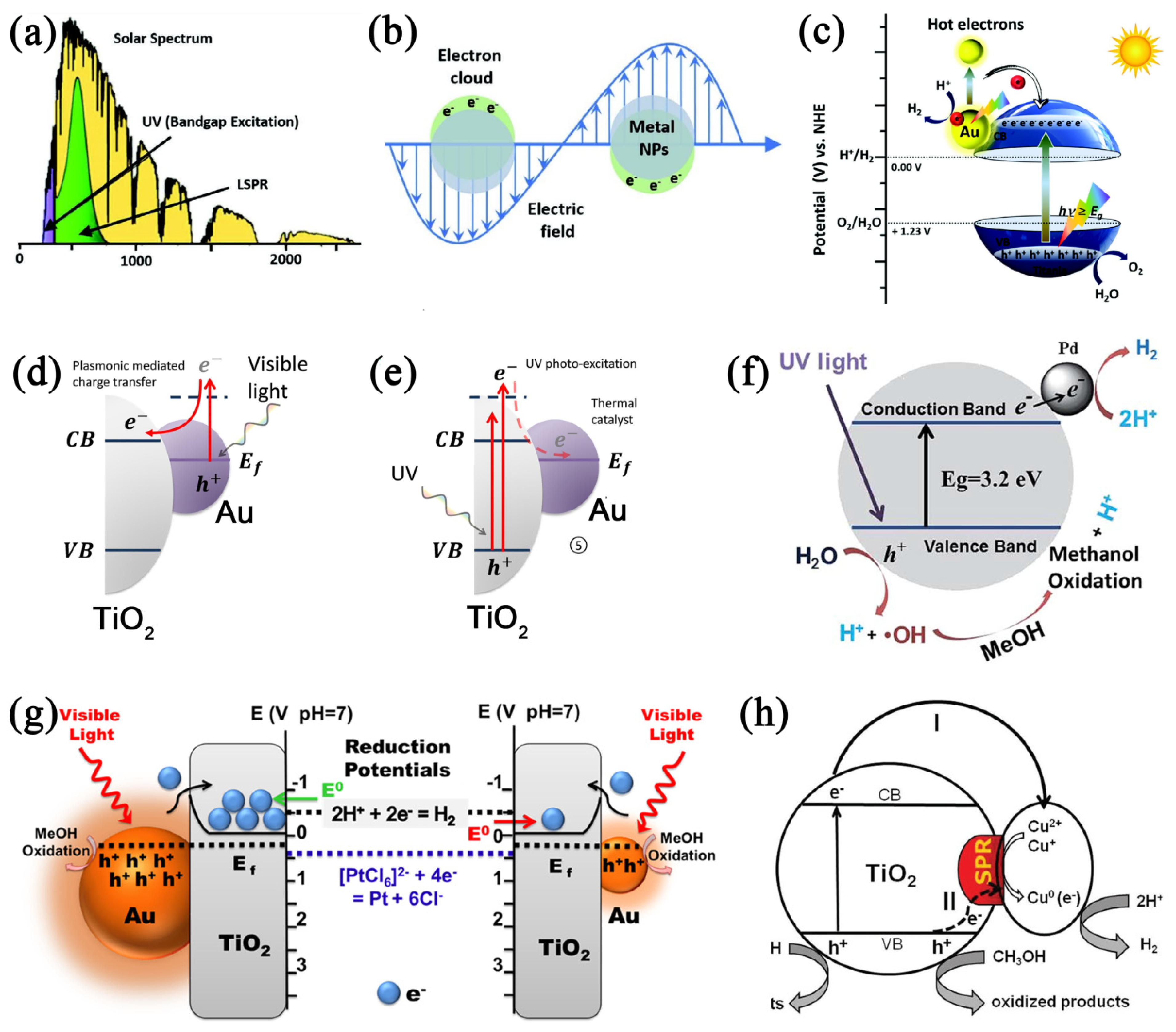 Molecules 29 02347 g004