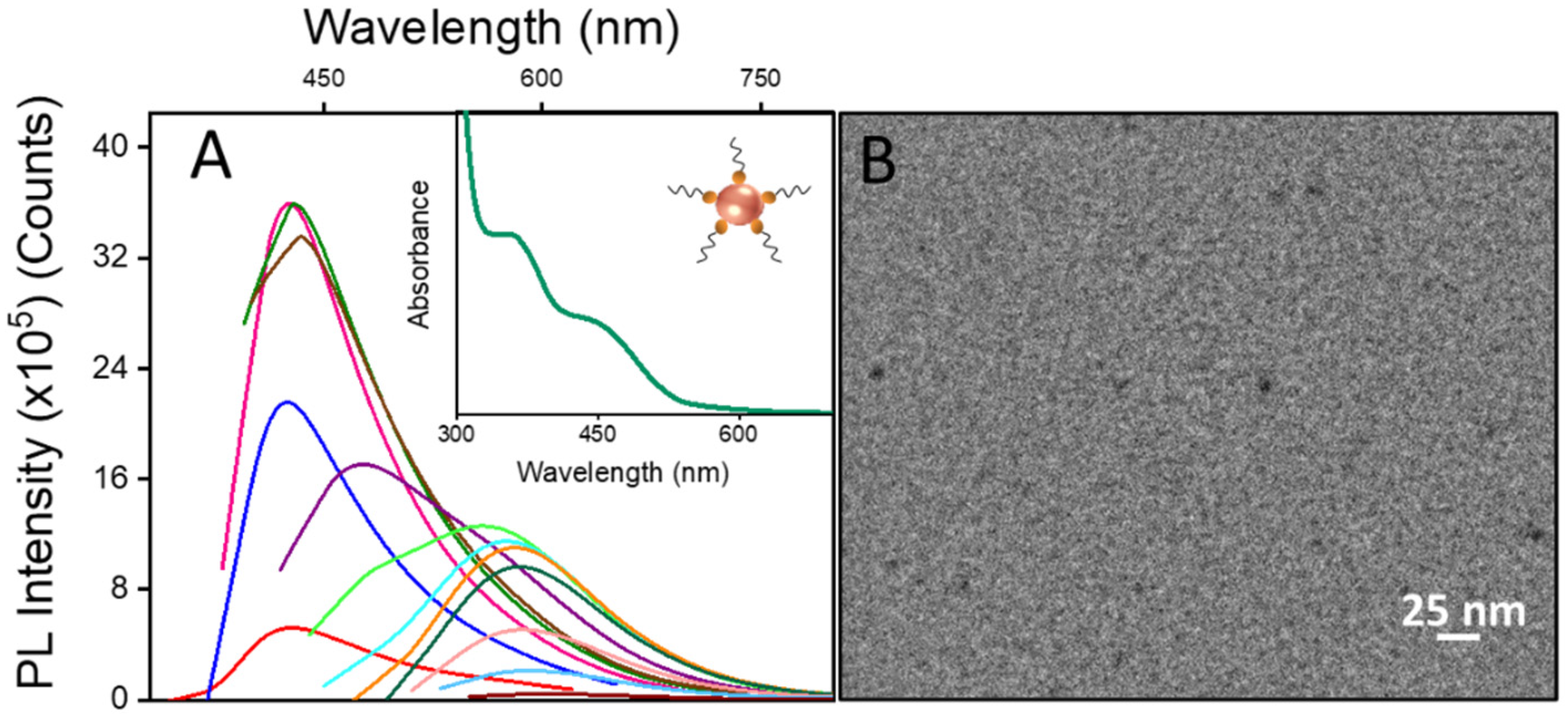 Molecules 29 02367 g001